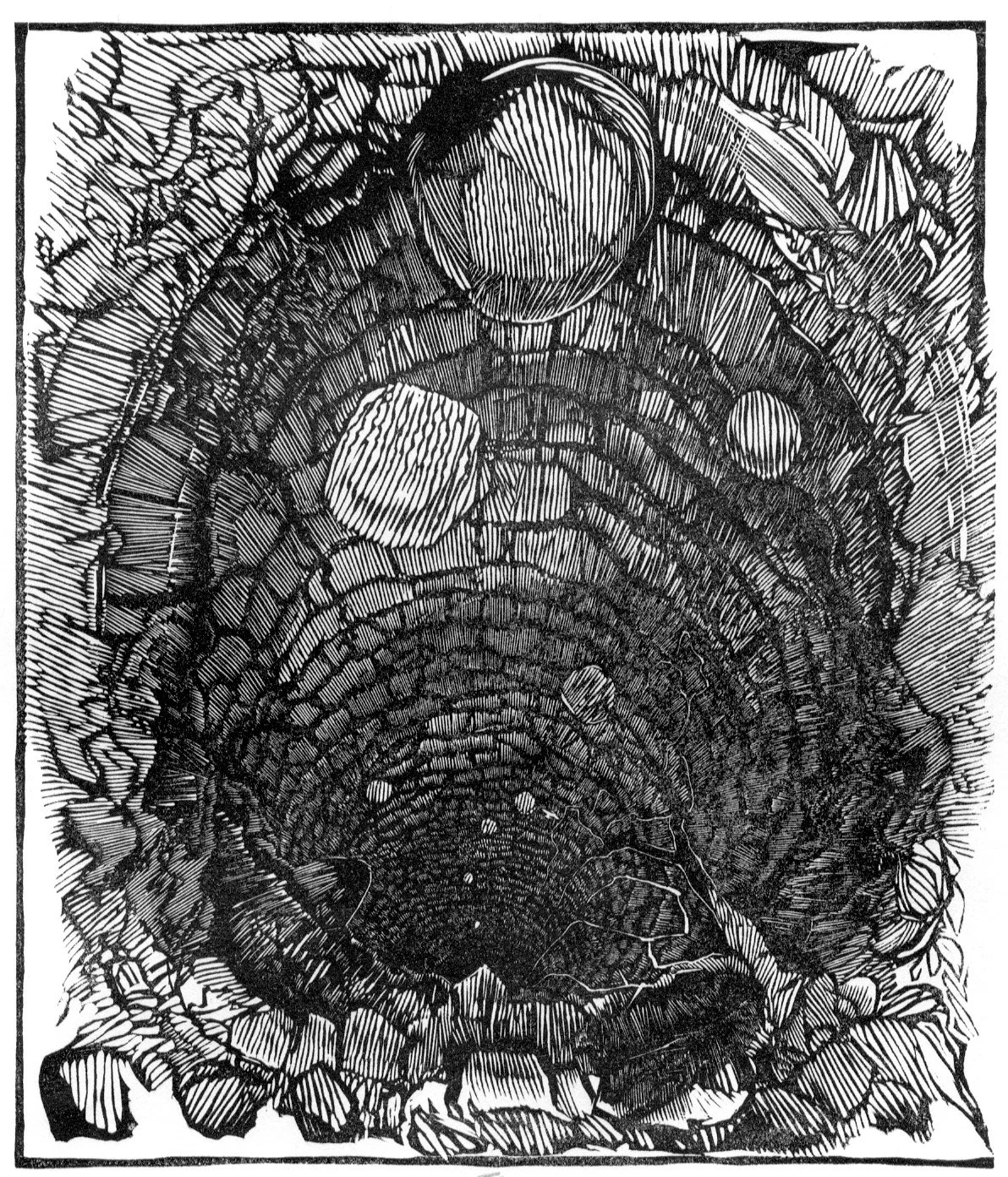 The Down Hole 5.75 x 6.75.jpeg