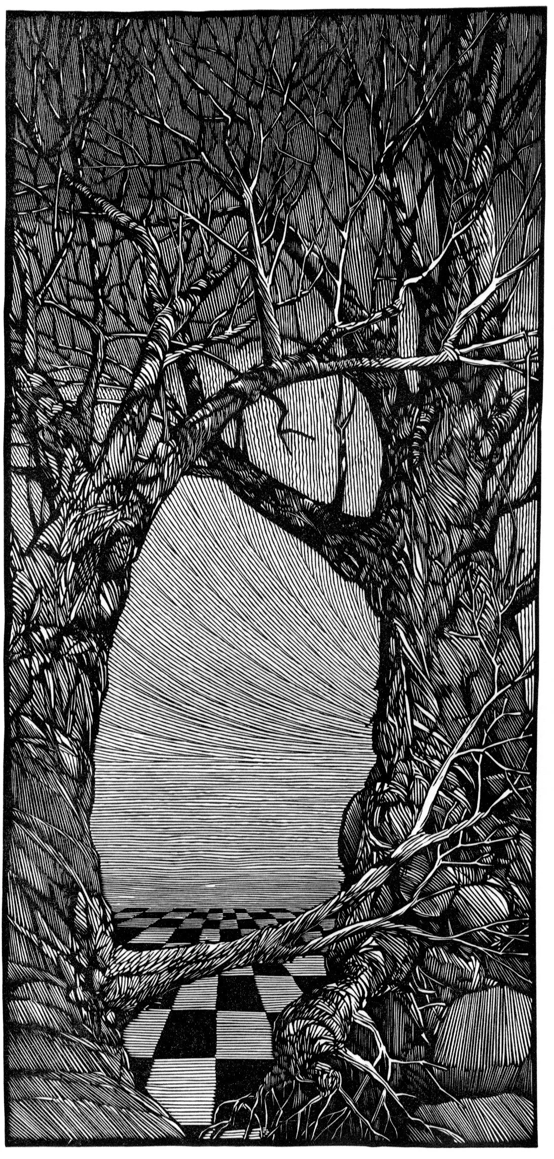 Looking-Glass Landscape 11.25 x 5.25%22.jpeg