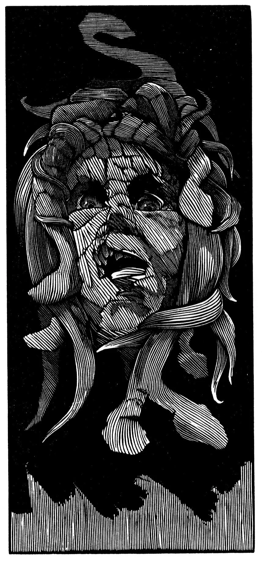 Tisiphone  4.5 x 9 1980.jpeg