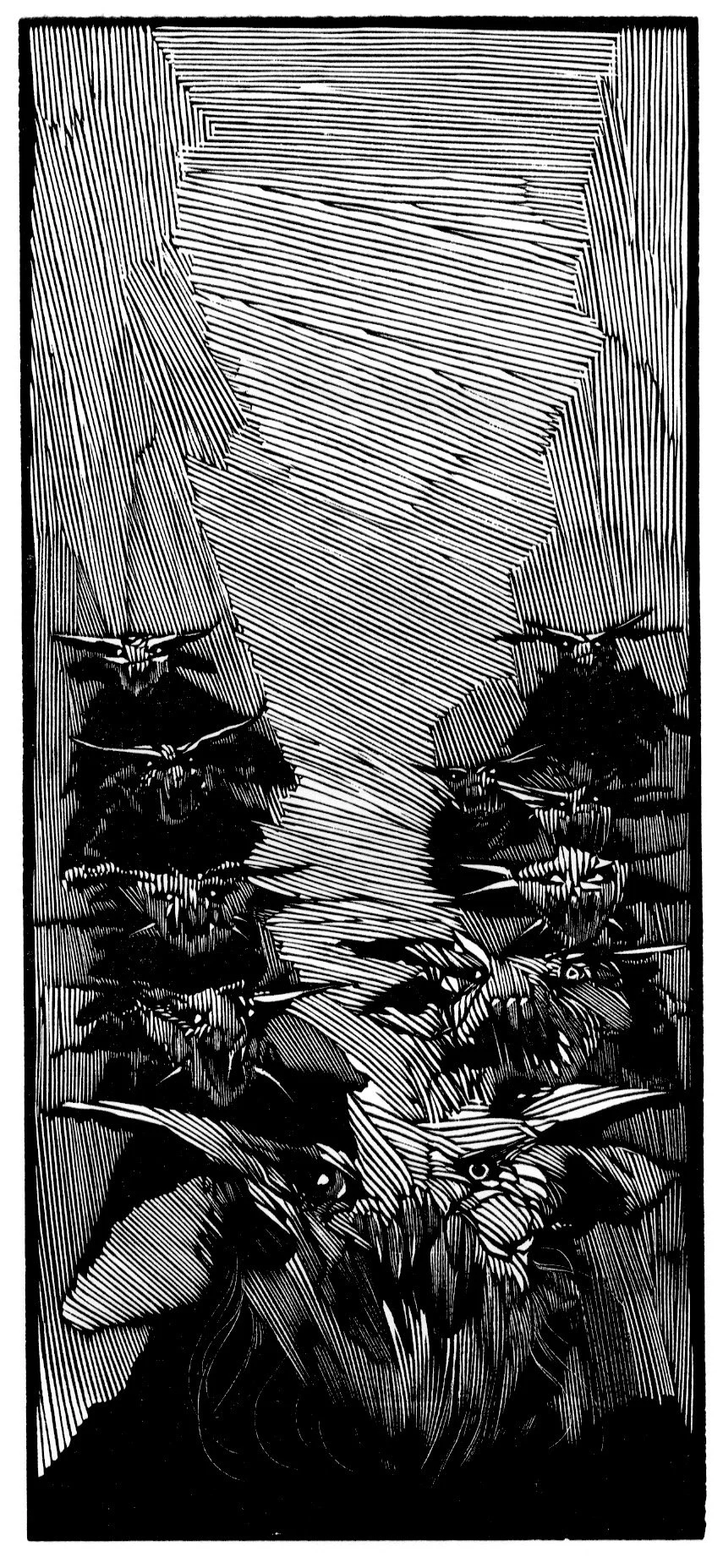 Scarmiglione 4.5 x 9 1980.jpeg