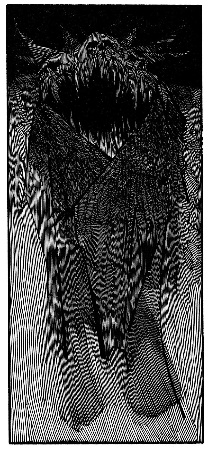 Emoprer of the Despndent Kingdom 4.5 x 9 1980.jpeg