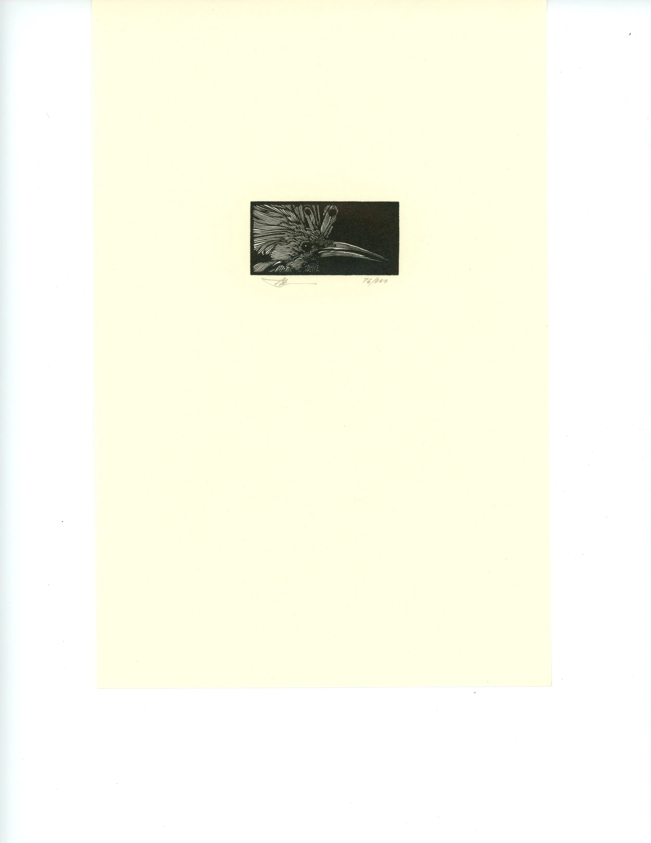 Bestiary, Hoopoe, #2 150.jpg