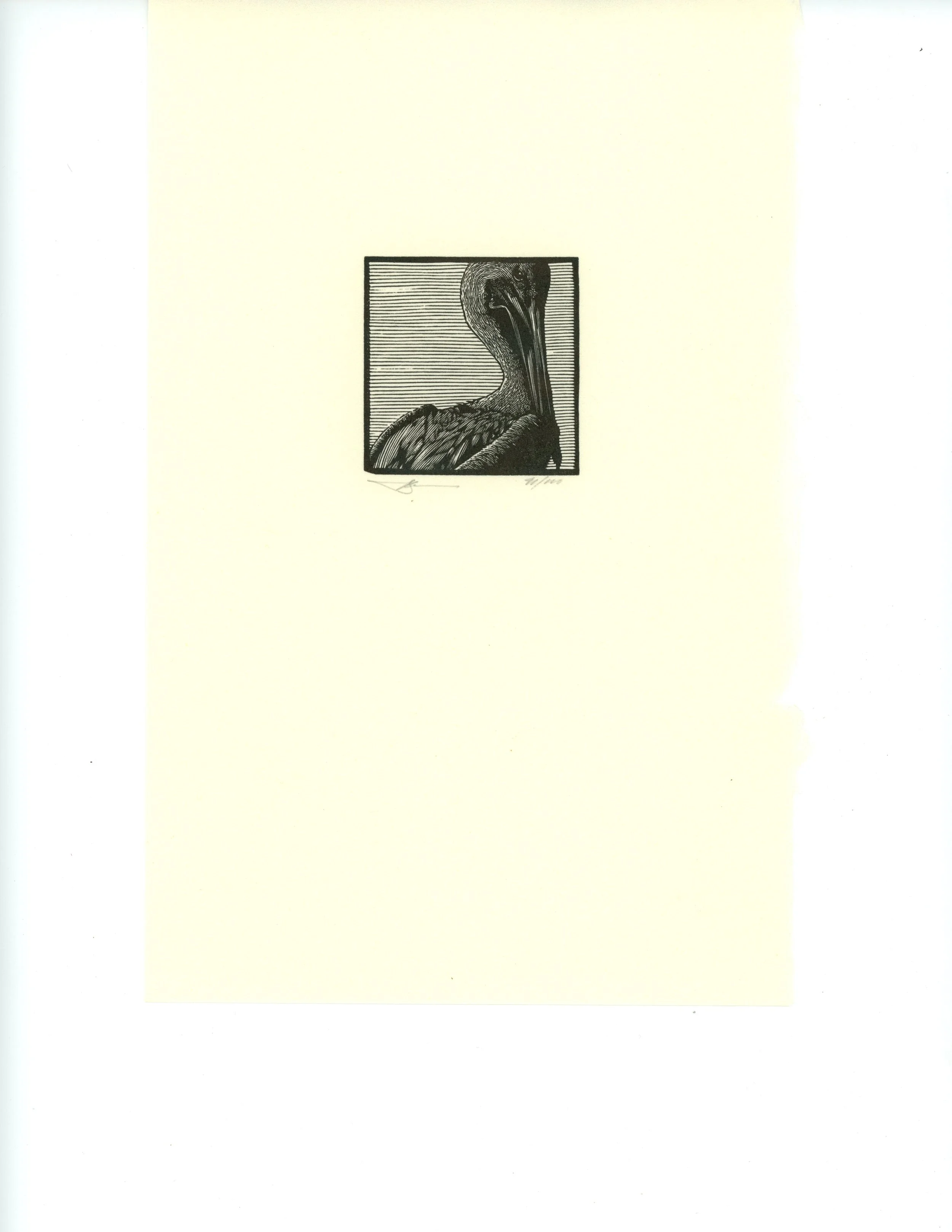 Beastiary, #9, The Pelican, 150..jpg