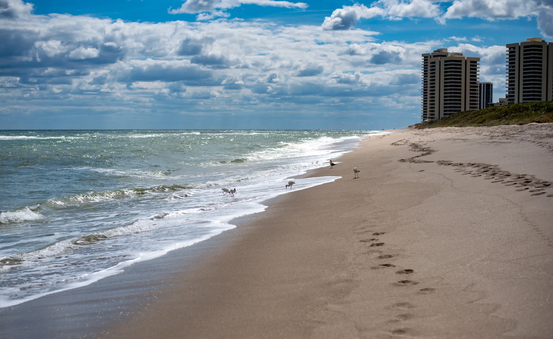 pick001036.jpg