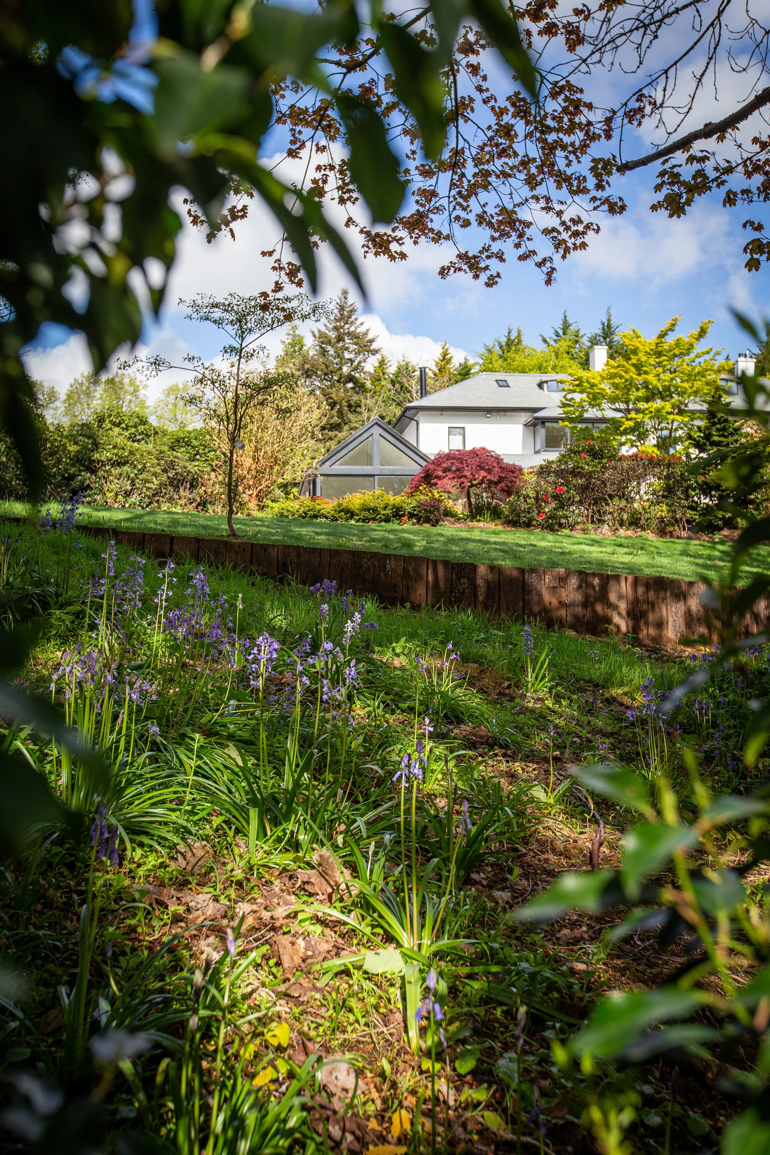 Natural + subtle planting