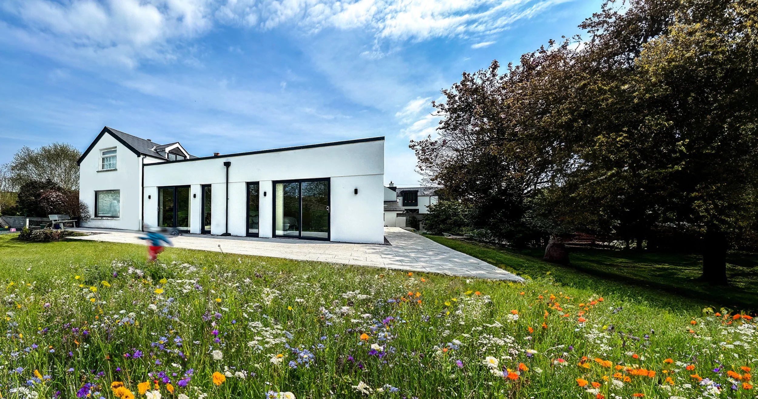 CONTEMPORARY EXTENSION - CO DOWN