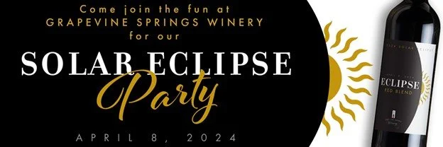 Eclipse Party