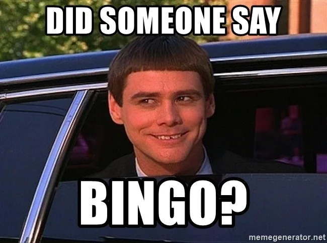 Bingo2.webp