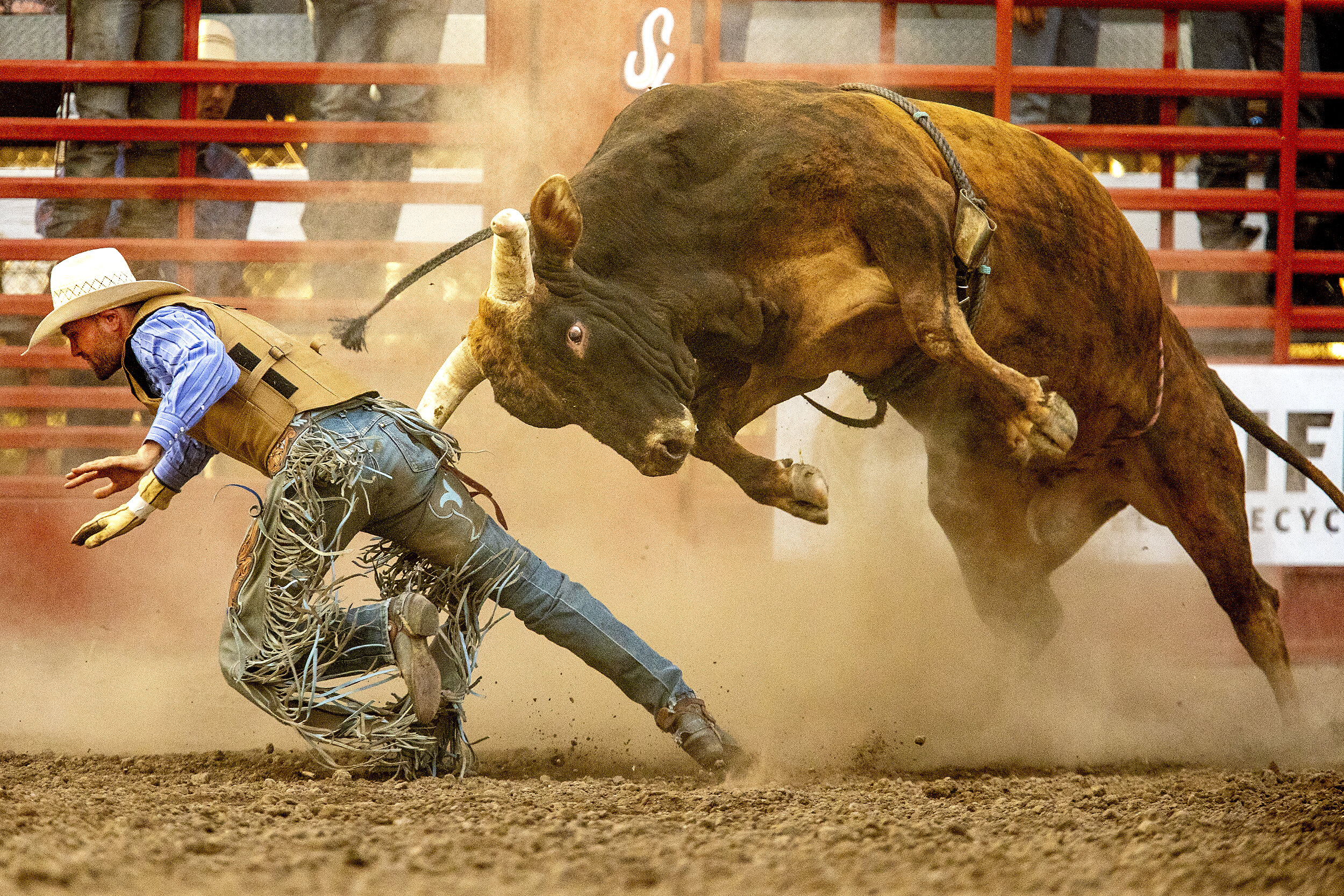  Jed Jones looks to escape after being bucked off as his bull sets sight on him in the Challenge of Champions Bull Riding at the Lewiston Roundup grounds on Saturday, July 10, 2021. 