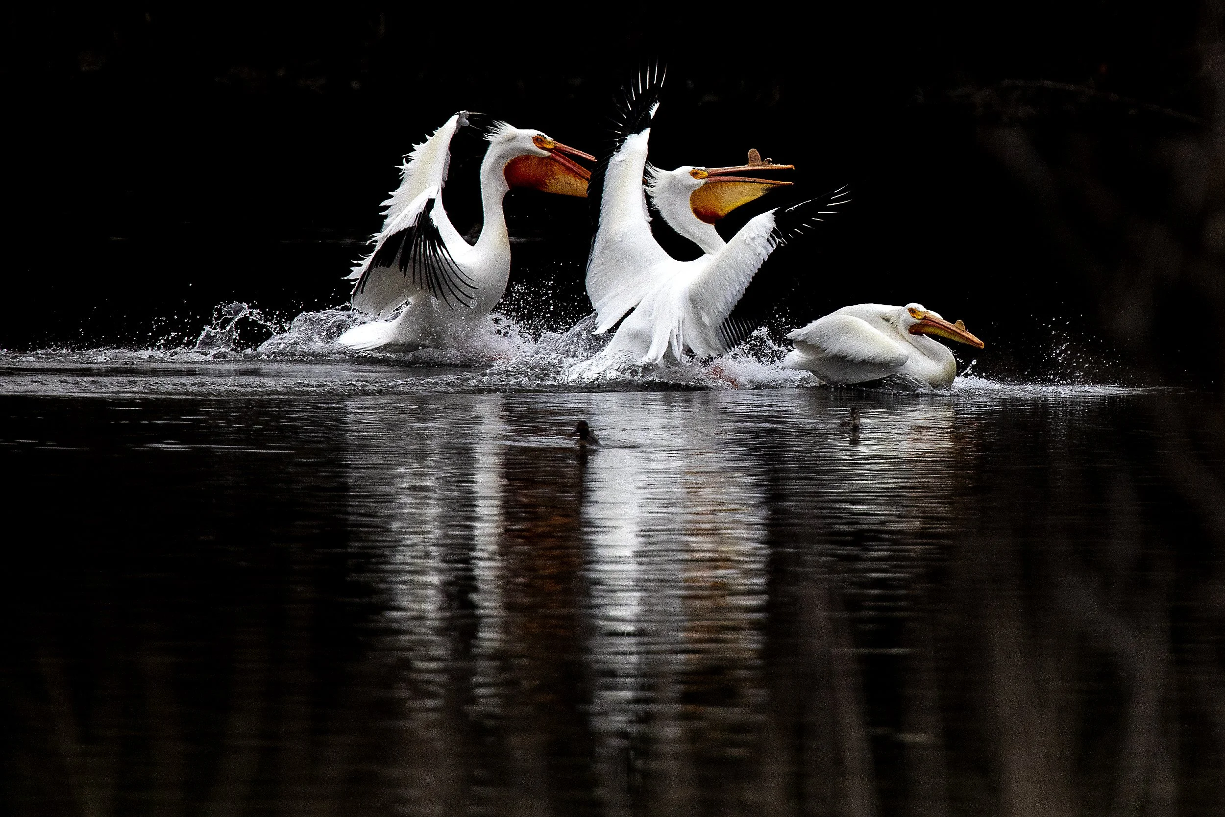 220408 af CLO.i Splash landing.JPG