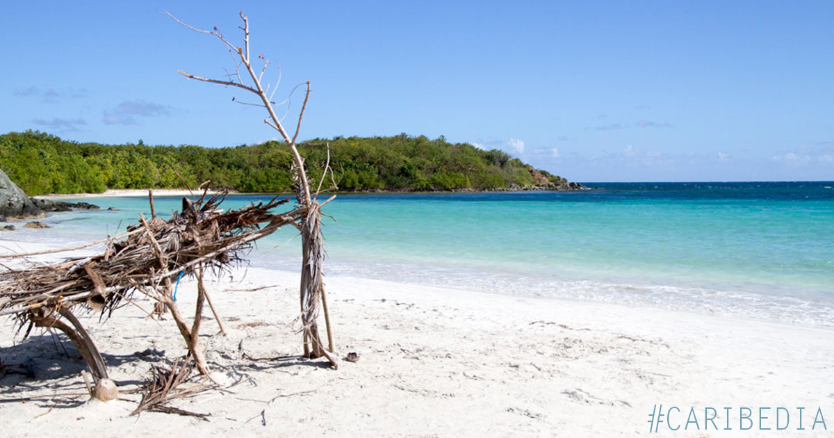 Playa de la Plata, Vieques Island, PR AKA Silver Beach, Orchid Beach