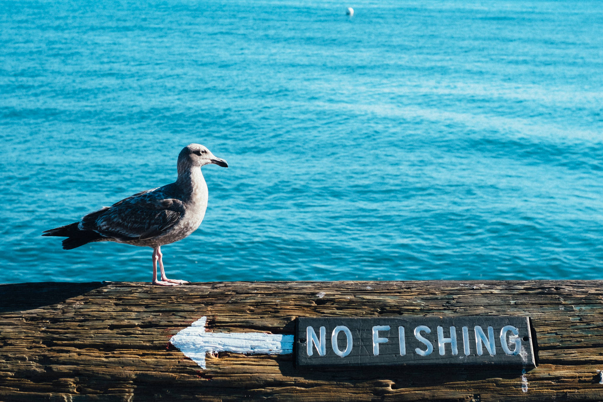 USA Coast to Coast Roadtrip Photos_080.jpg
