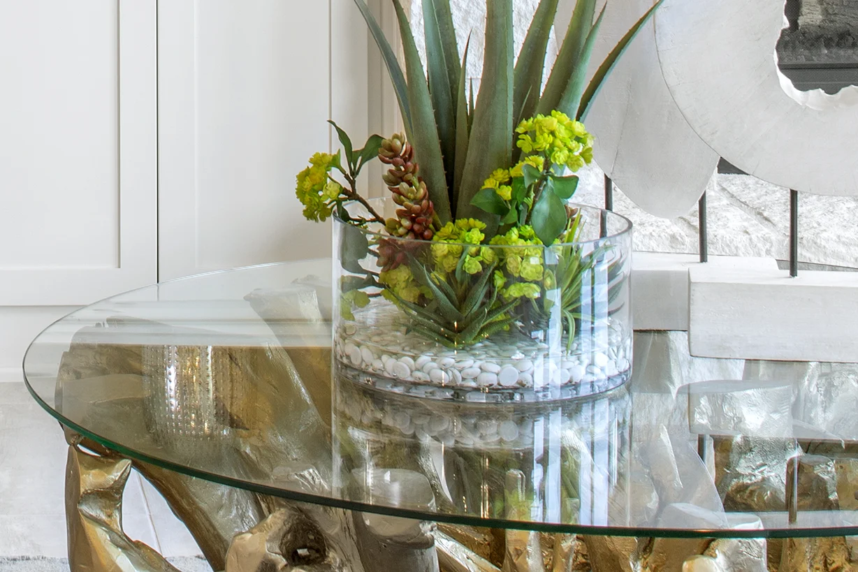 Cover photo_cropped plant.jpg