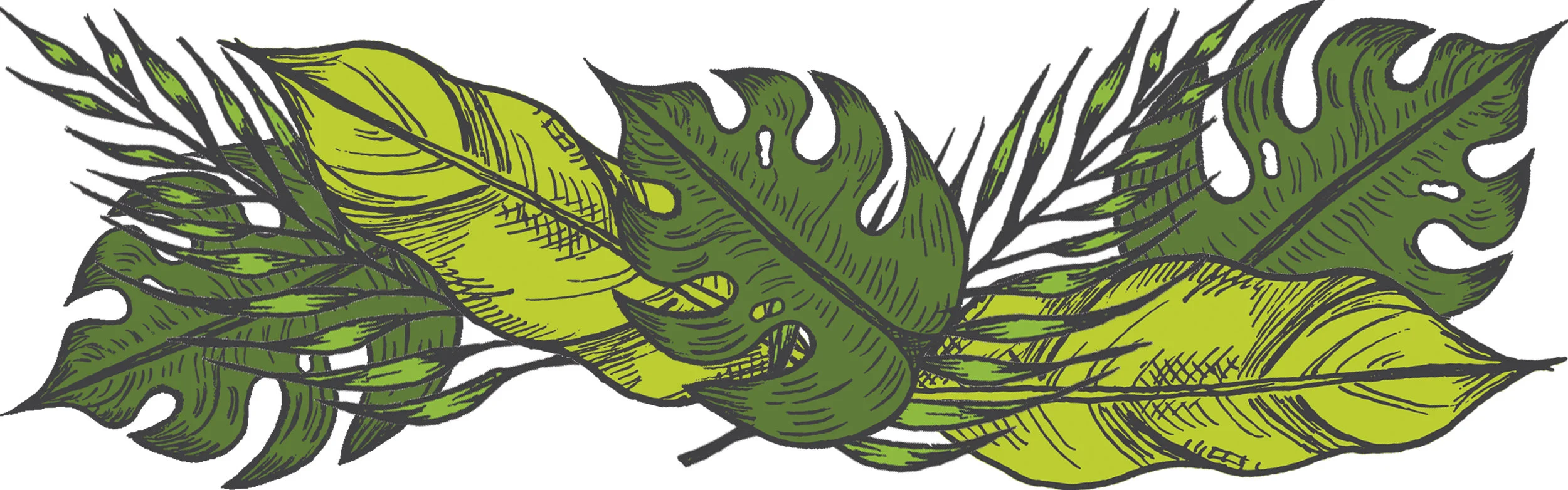 Leaves.jpg