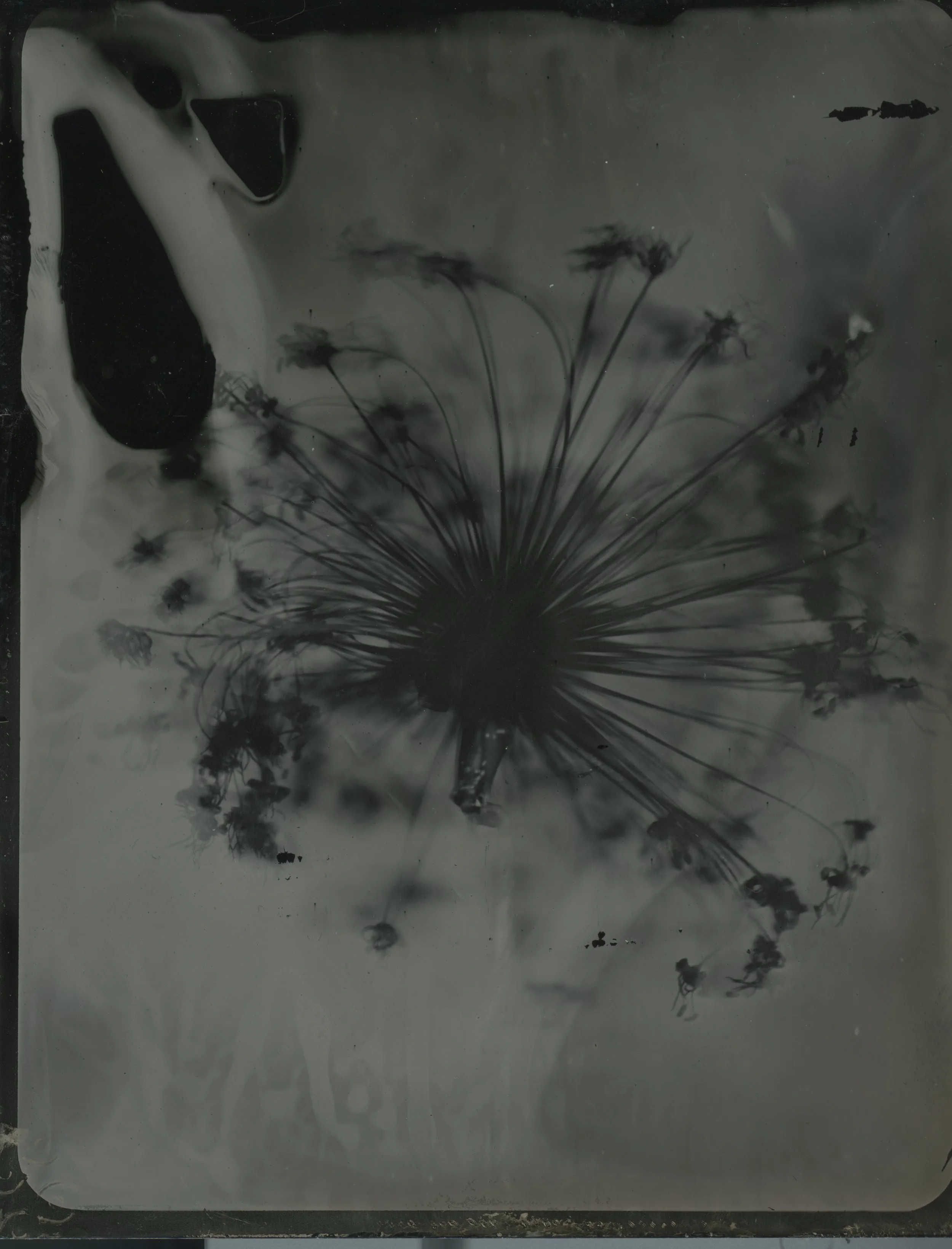 2026-03-16-4x5-Tintype- 4 copy.jpg