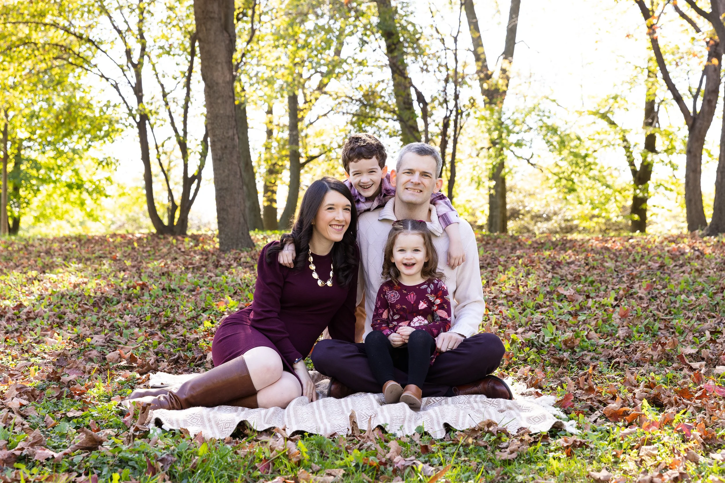 How to Download the Entire Photo Gallery