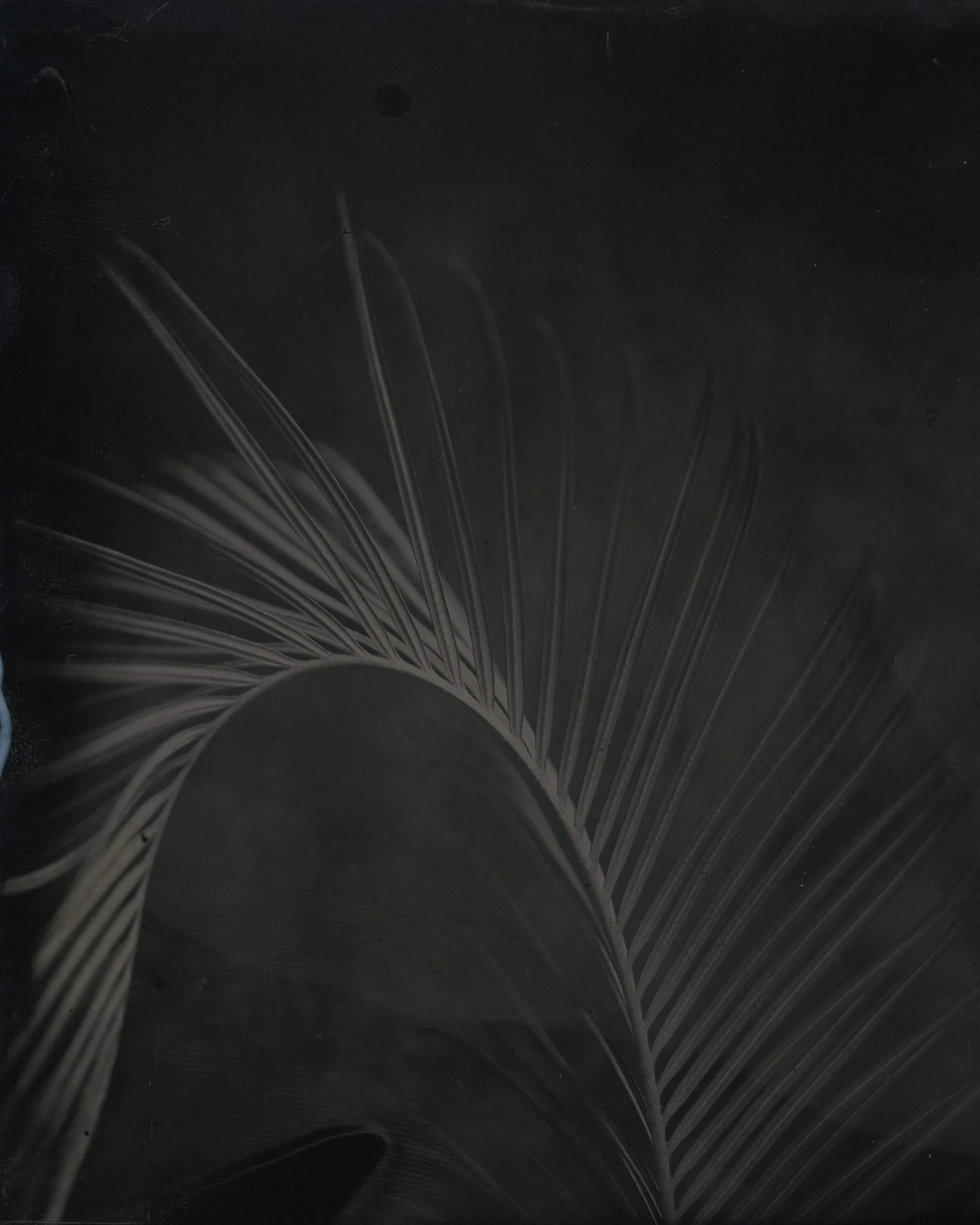 2025-12-WETPLATE-003 copy.jpg