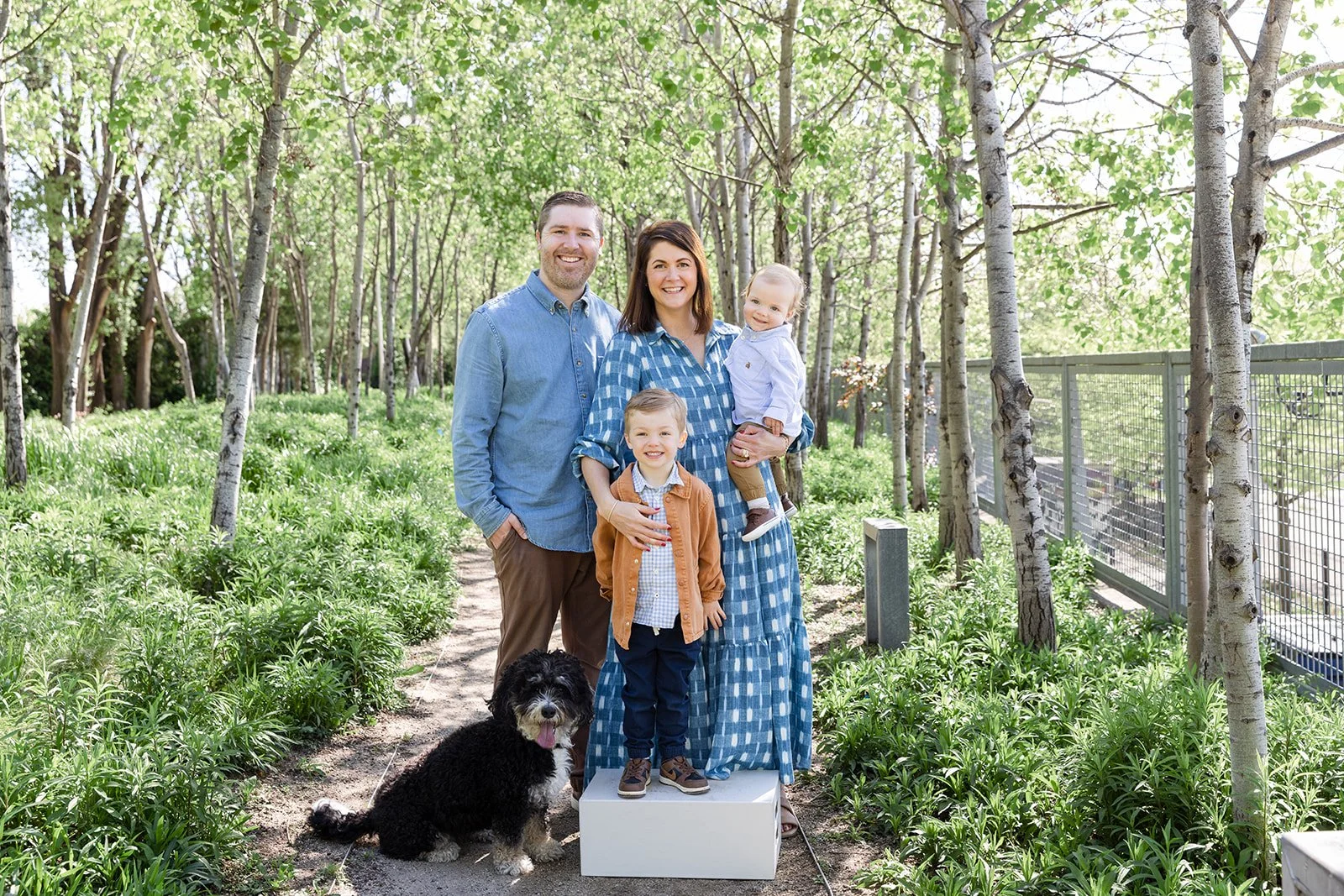 Spring Mini Sessions