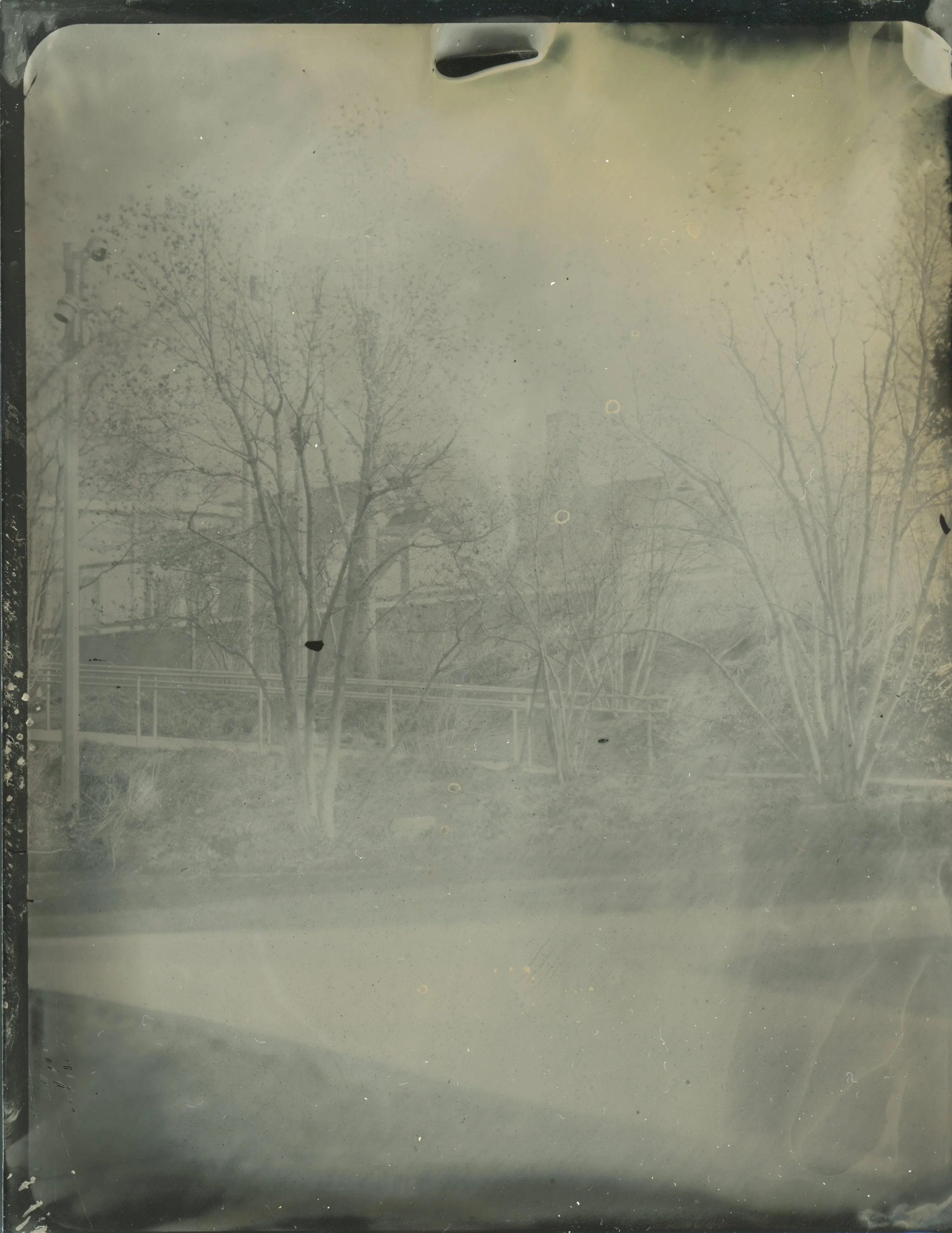 2026-03-29-4x5-Tintype- 5 copy.jpg