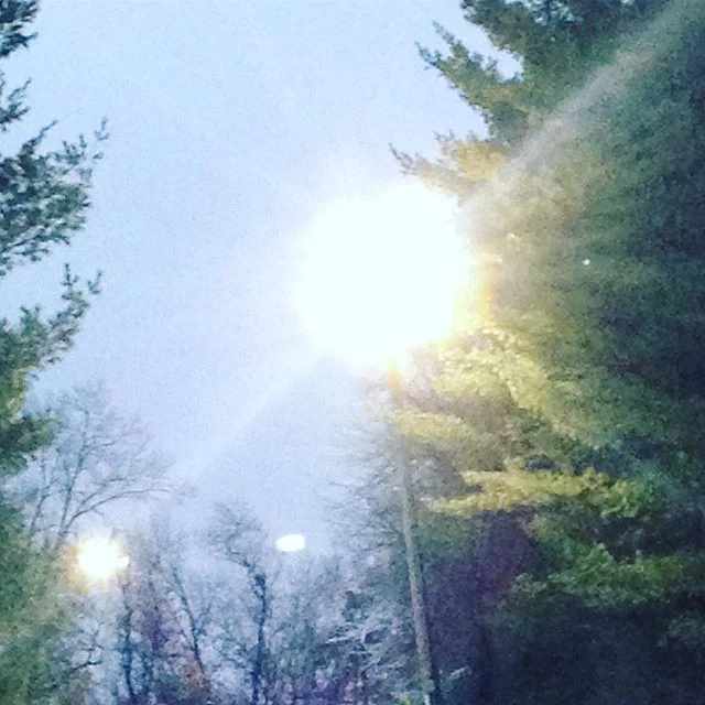 Flash Forward to the Holidays.
.
.
.
#creativeinspiration #designinspiration #designer #naturephotography #holiday #natureinspired #outdoors