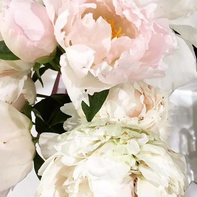 Perfect Peonies
.
.
.
#designinspiration #designinspo #naturedesign #peonies #floral #2pmcreativelab