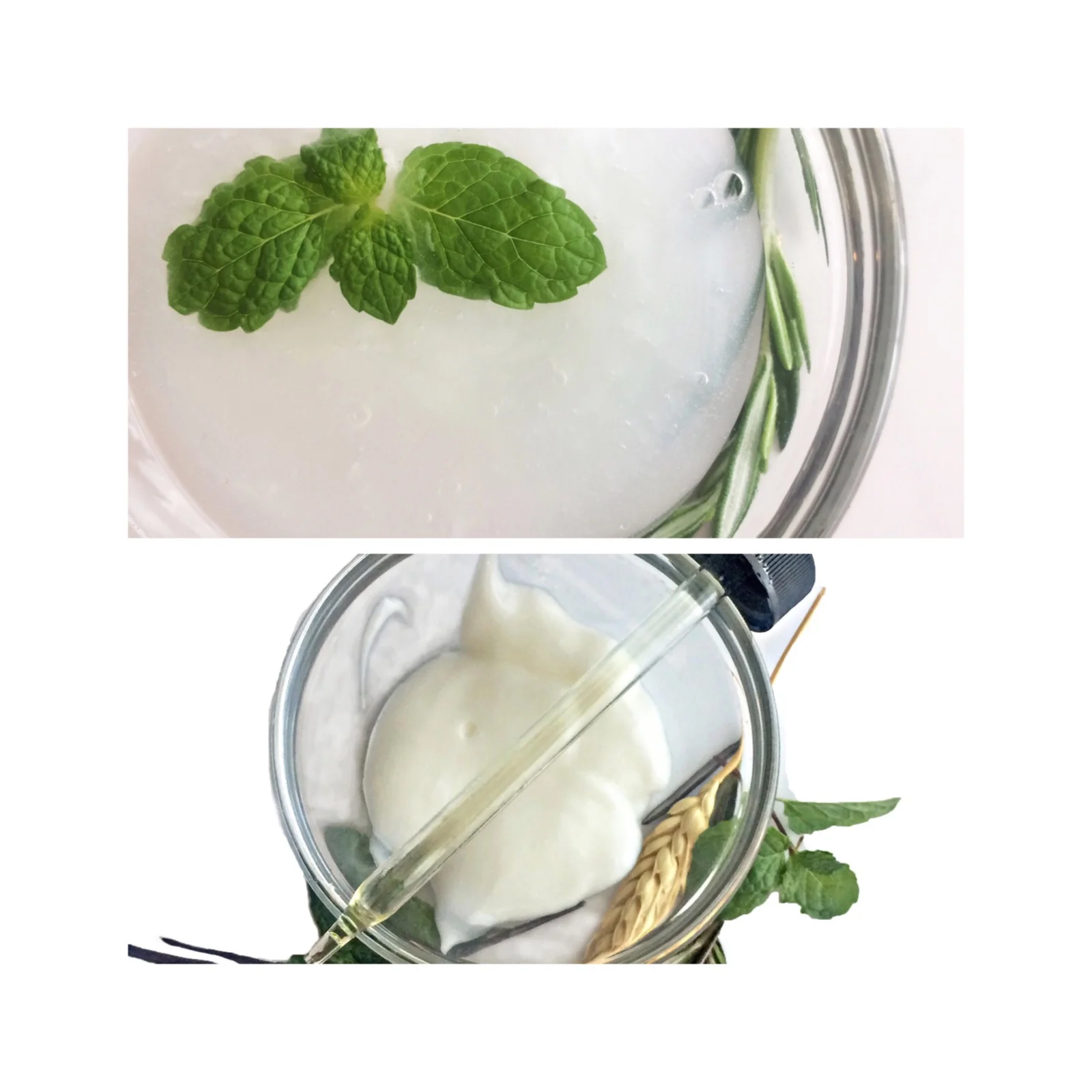 Rosemary Mint Shampoo Conditioner