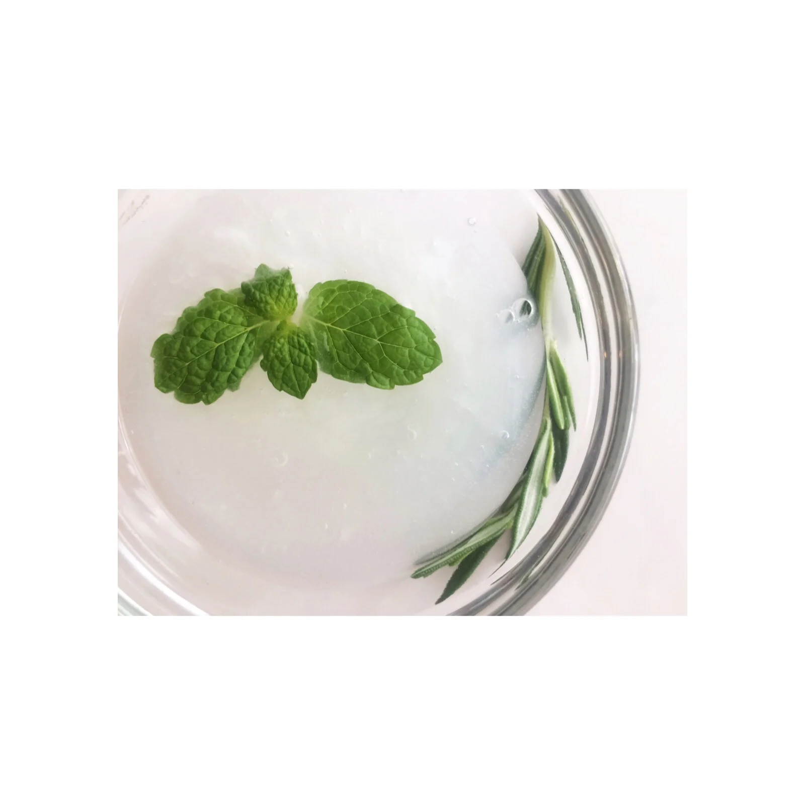 Rosemary Mint Shampoo in a bowl, Natural-Organic, Botanical, Vegan, Pure Essential Oils