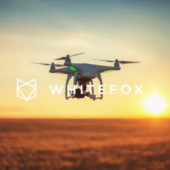 Whitefox.jpg