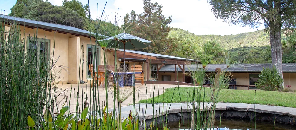 Aio Wira view through reeds.png