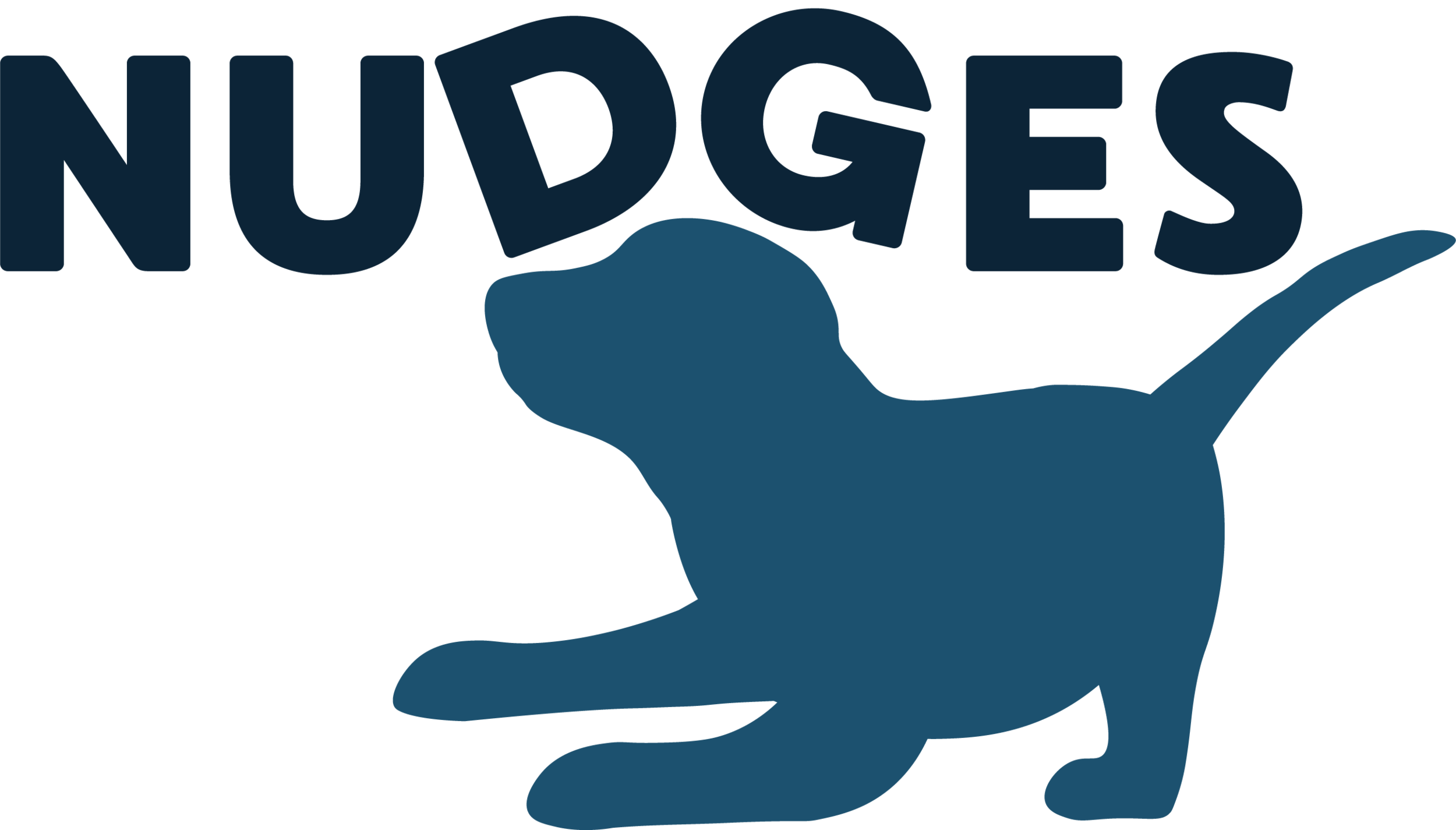 nudges.png