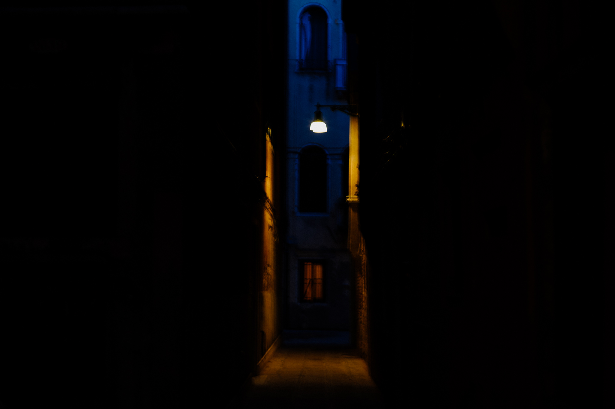L1003908.jpg