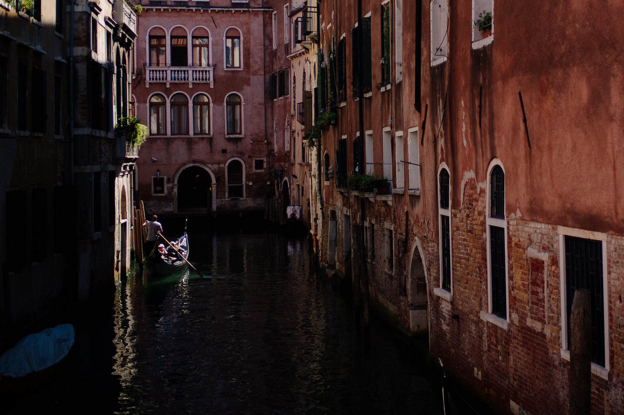 L1003781.jpg