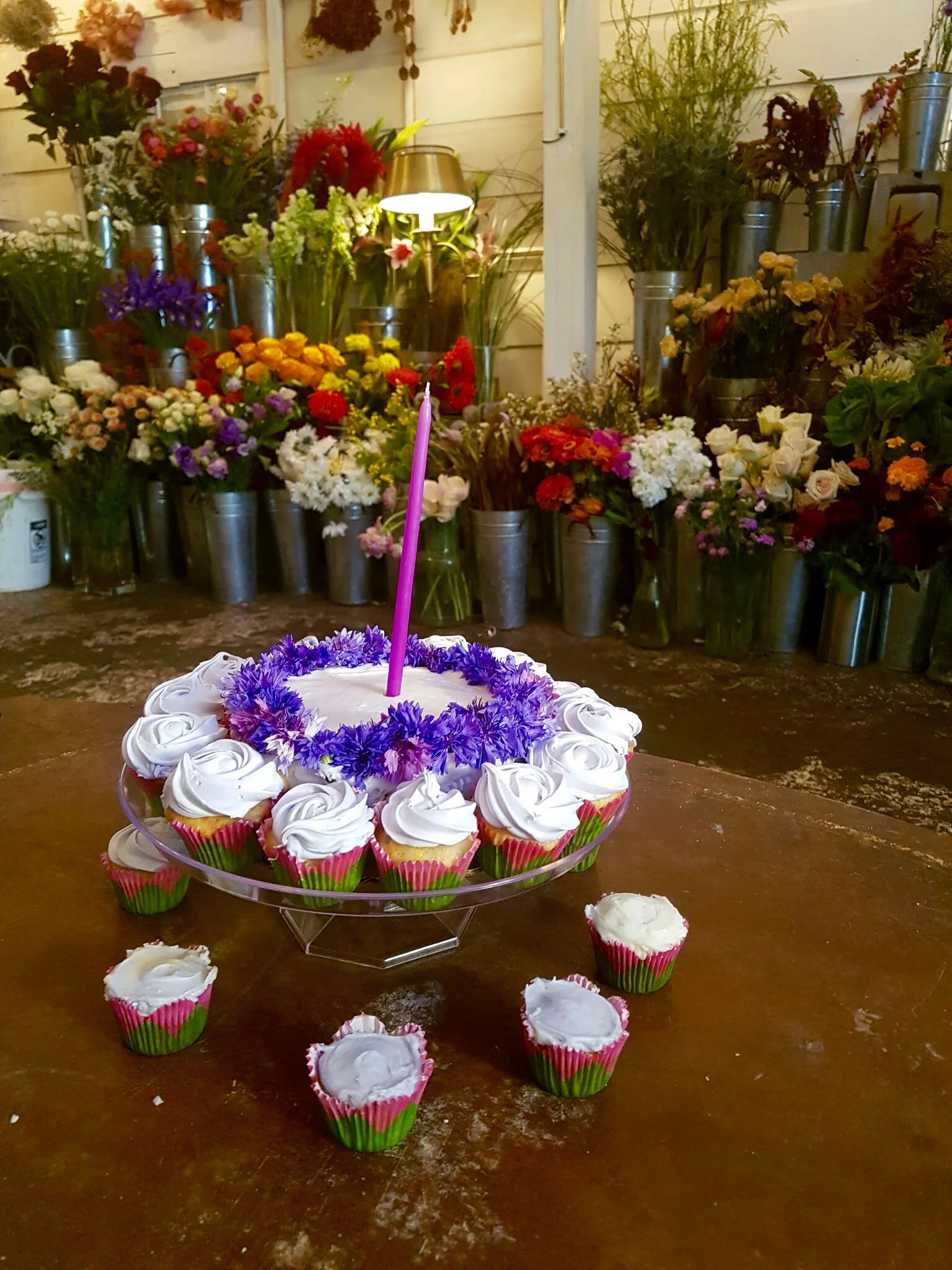 Photo Cred: Shahirah Gardner (Cake by The Buttery Existence)
