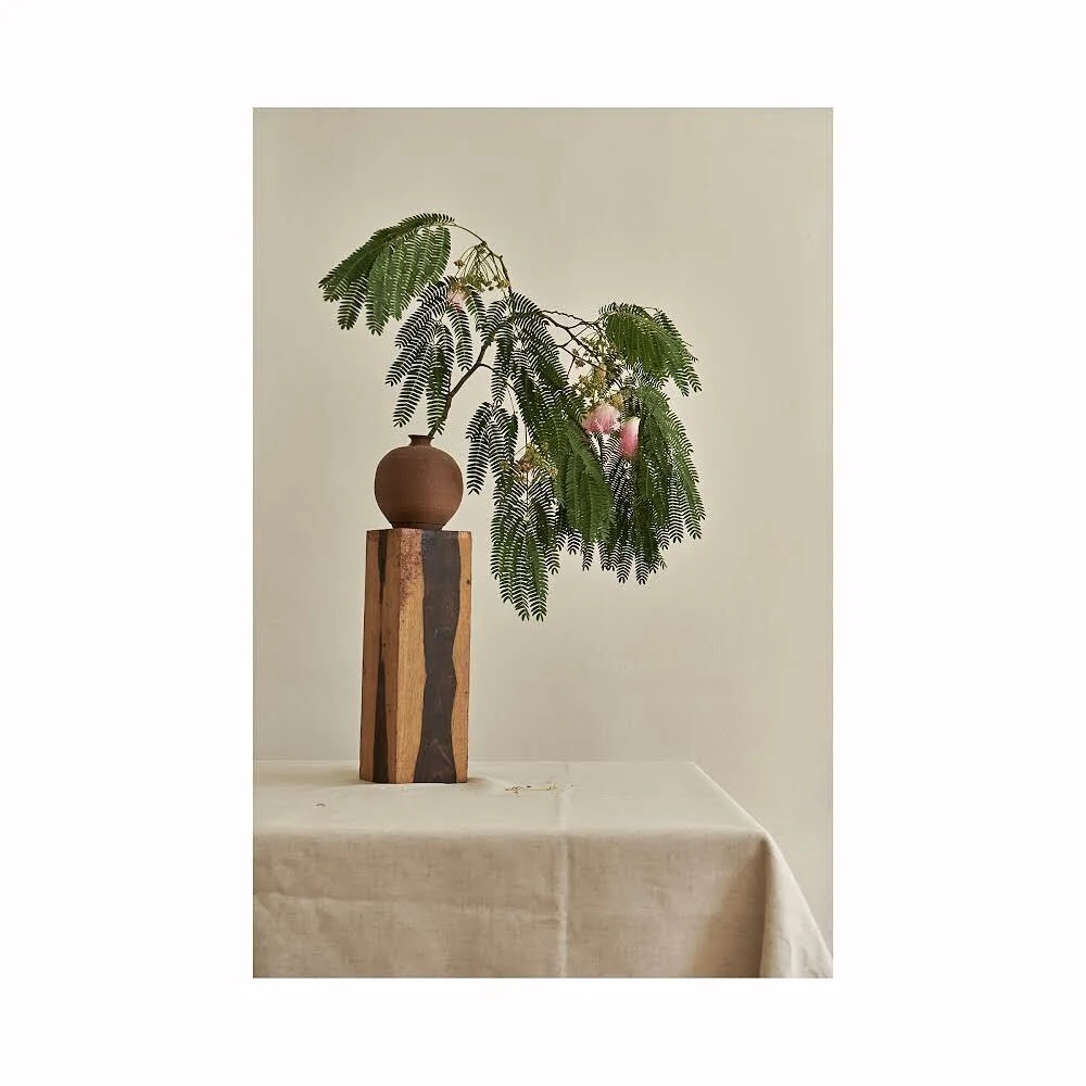 summer blooms / fall feelings

1st photo with @chauntevaughn 
2nd in my iPhone6 may it live forever