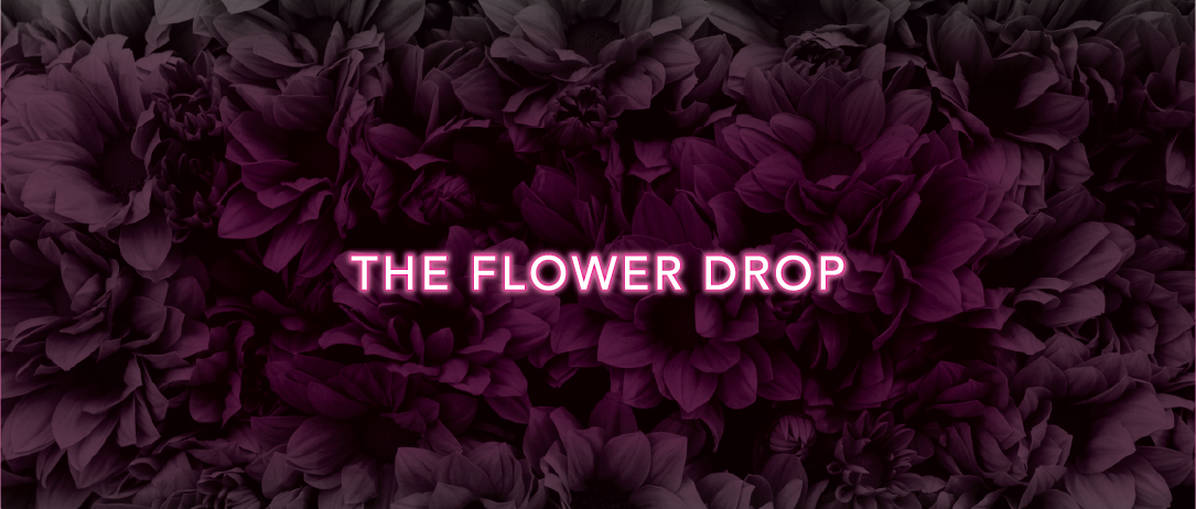 Artboard 1 copy 4.png