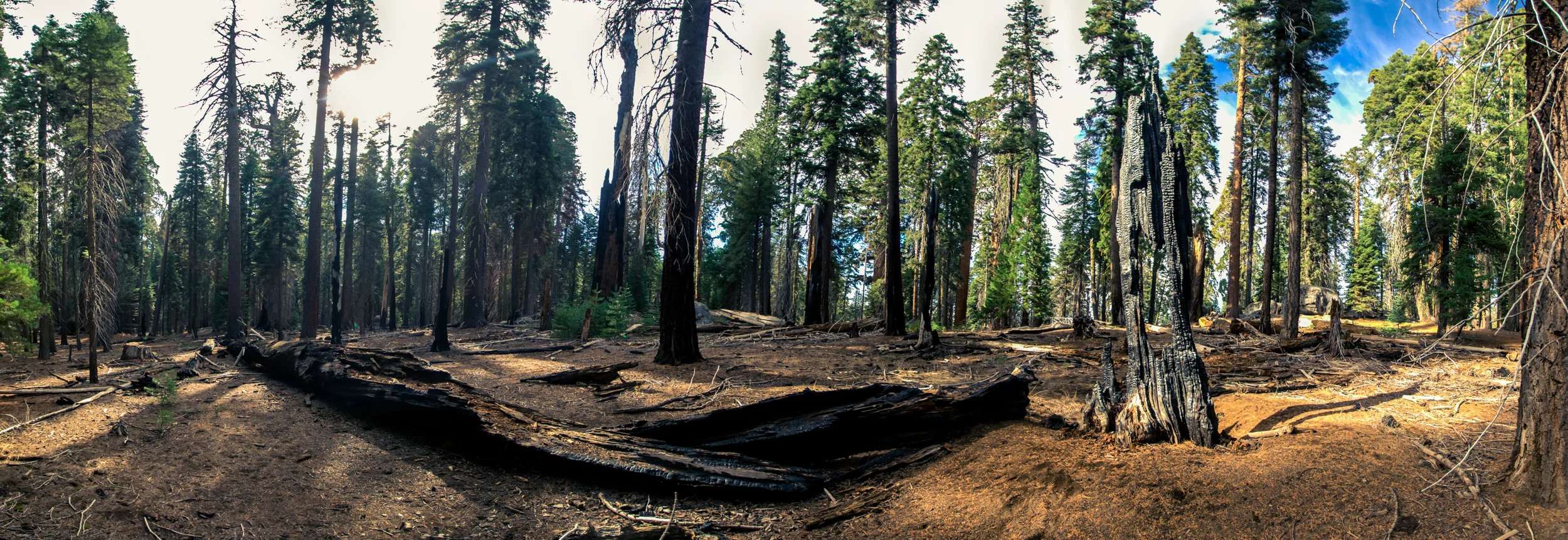 IMG_5371 Panorama.jpg