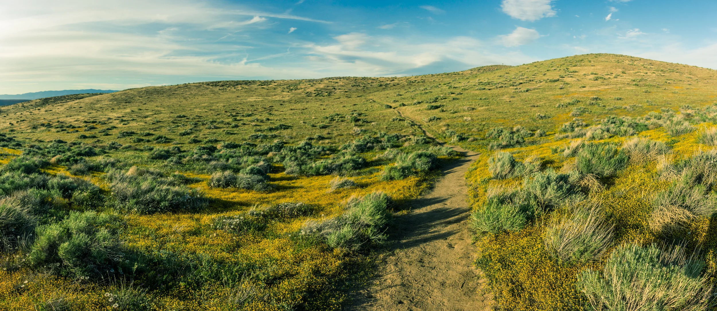 IMG_6115-Pano.jpg