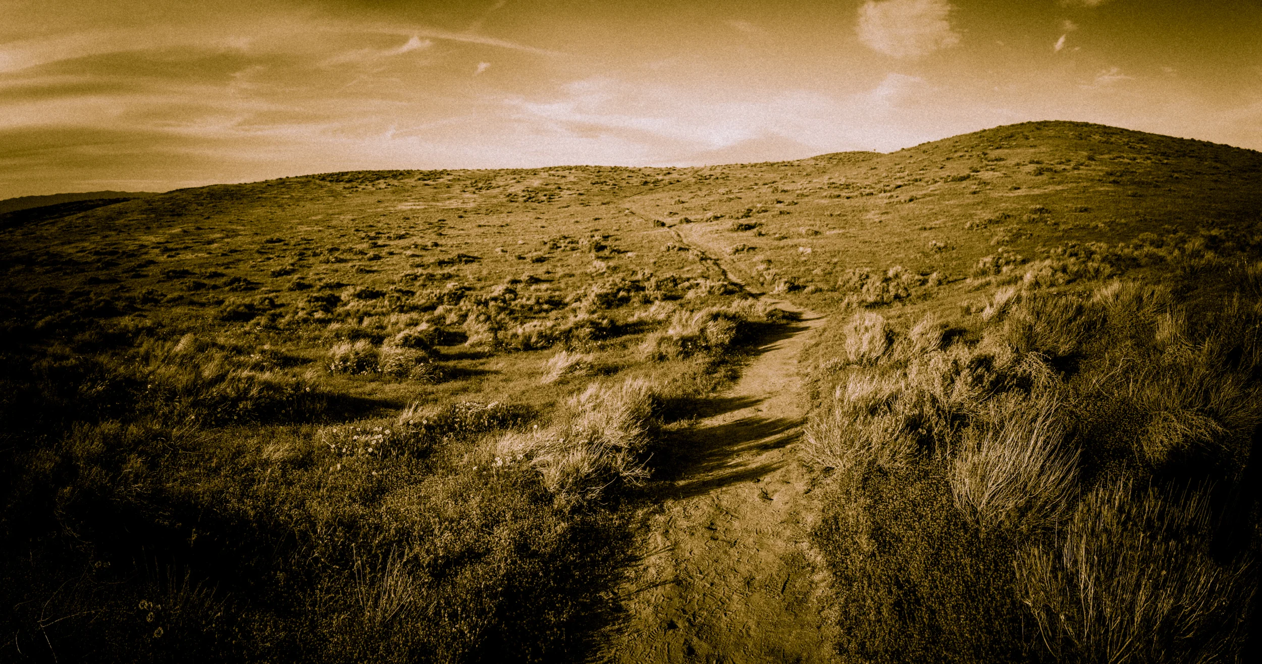 IMG_6115-Pano-2.jpg