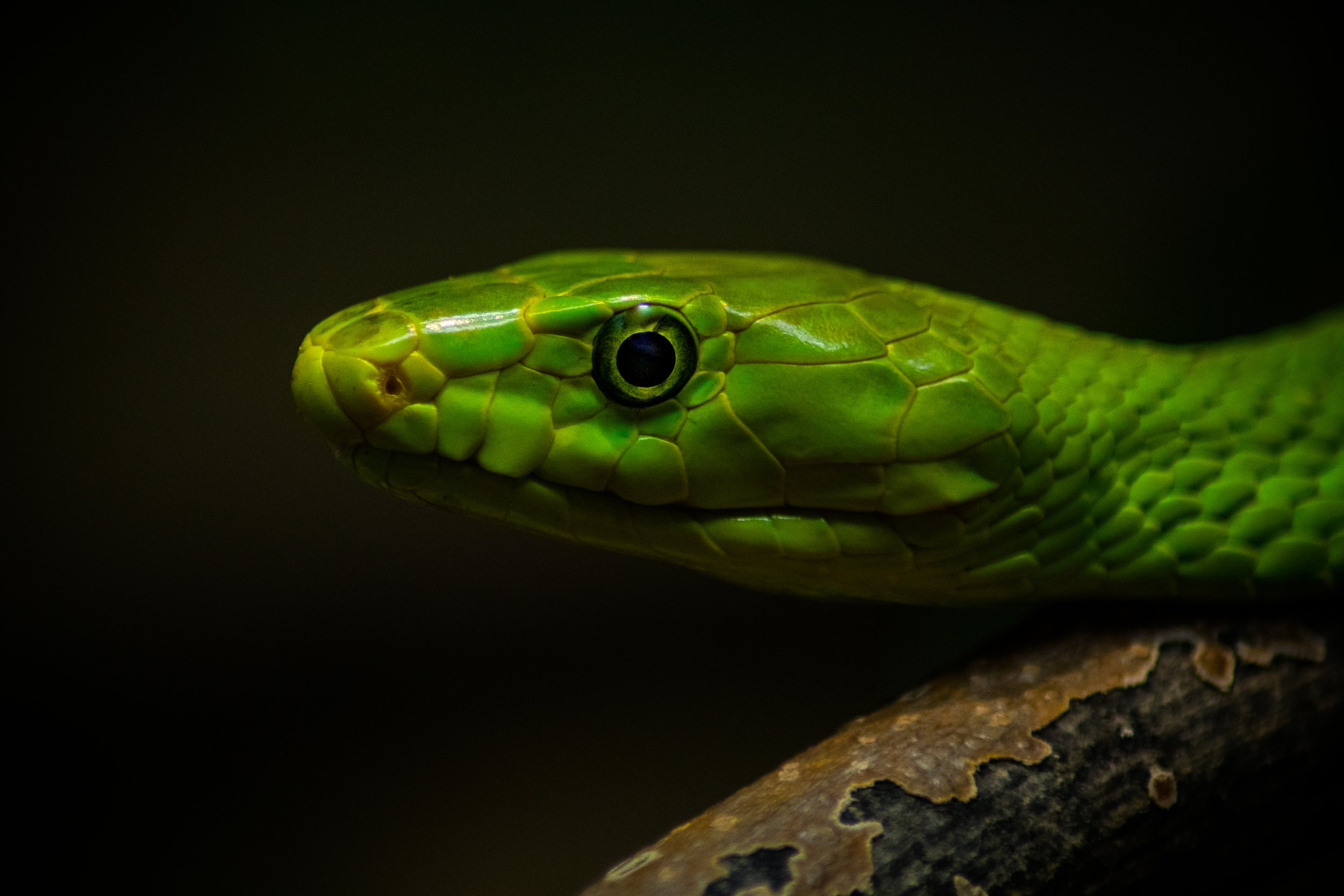 DSC_5086.jpg