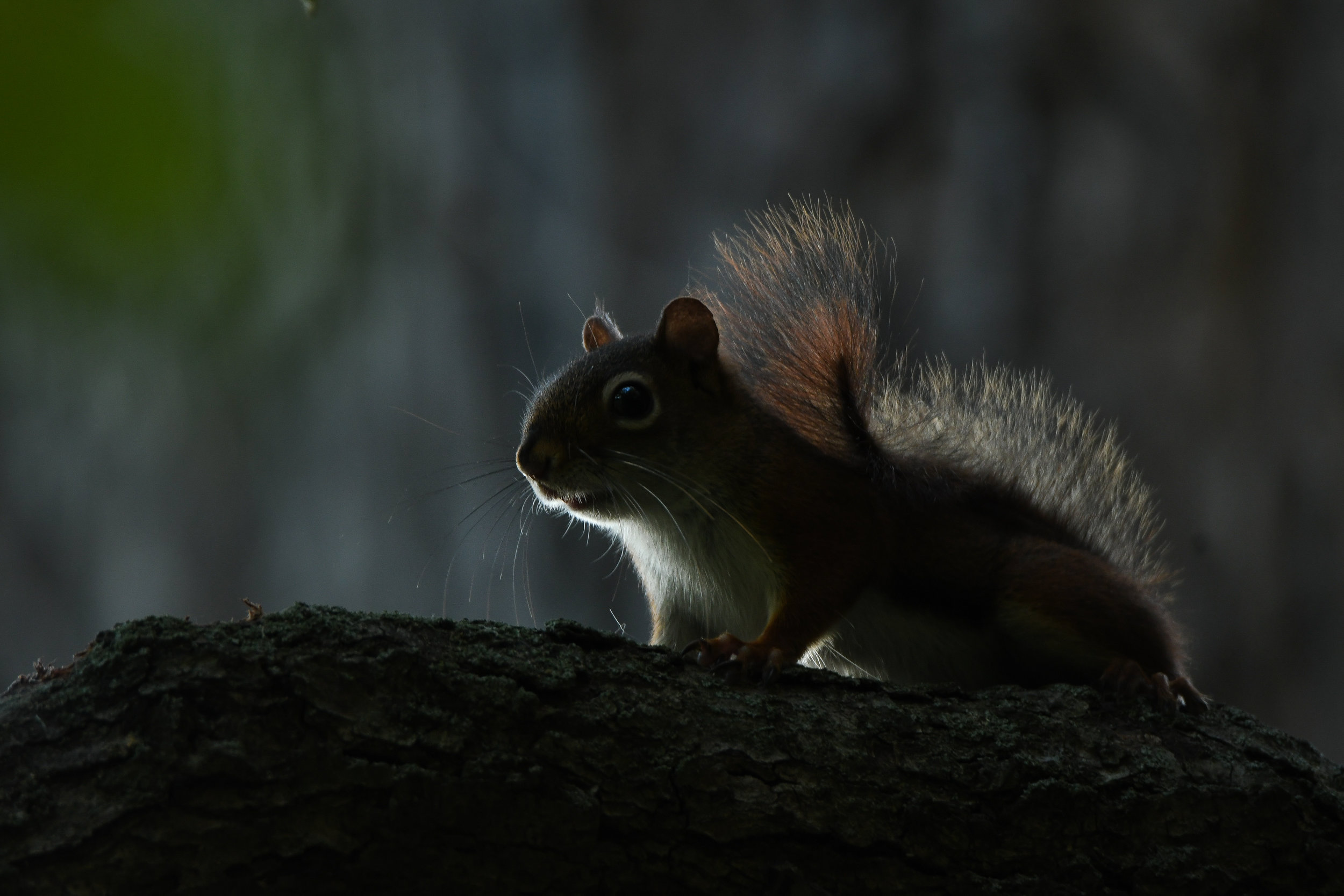 DSC_5840.jpg