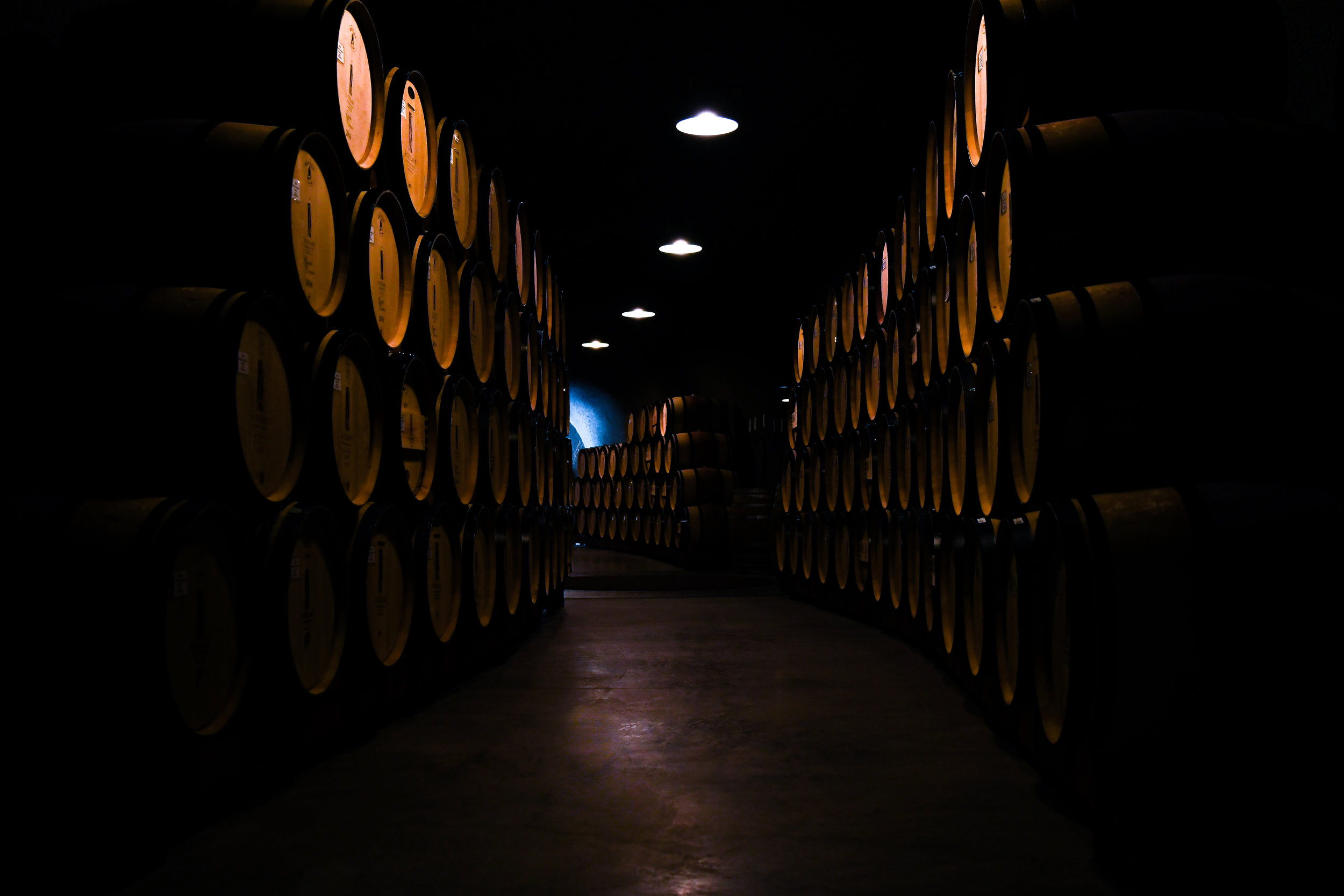 DSC_7253.jpg