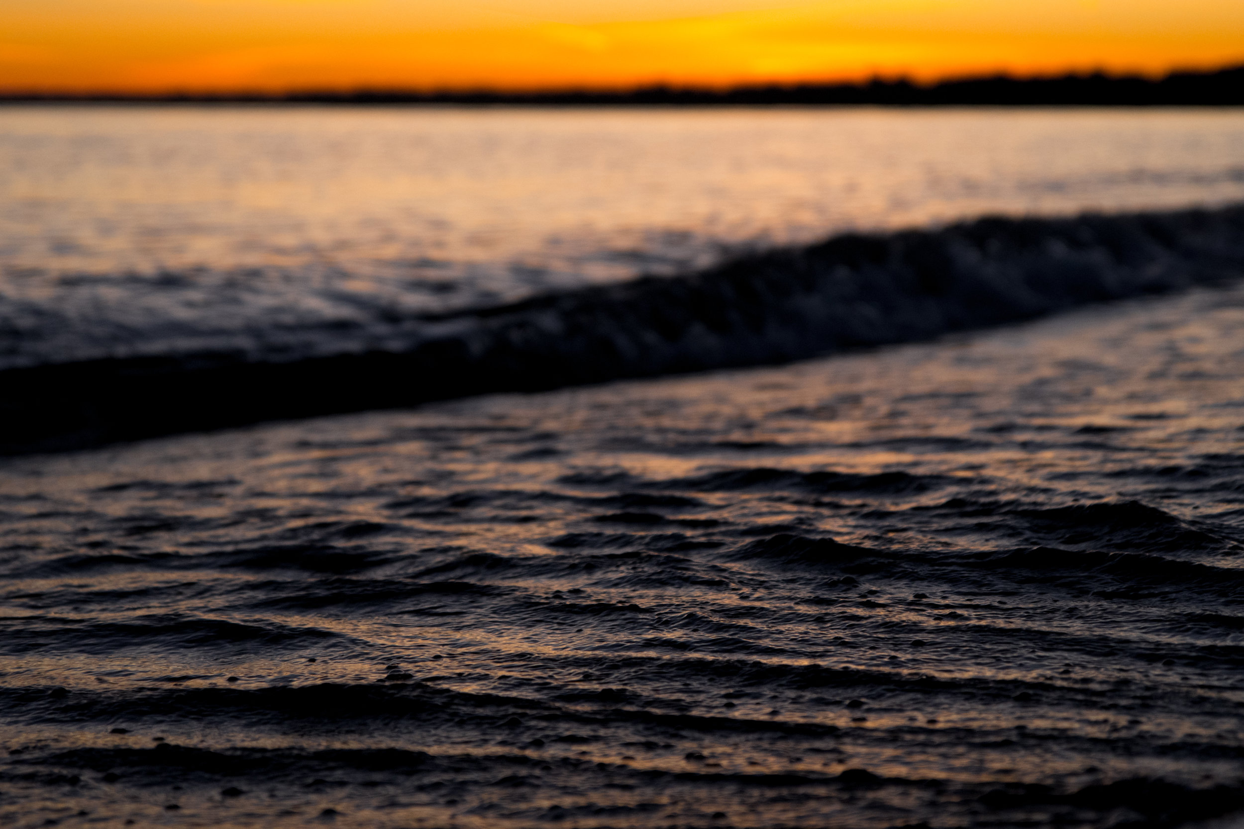 DSC_8657.jpg