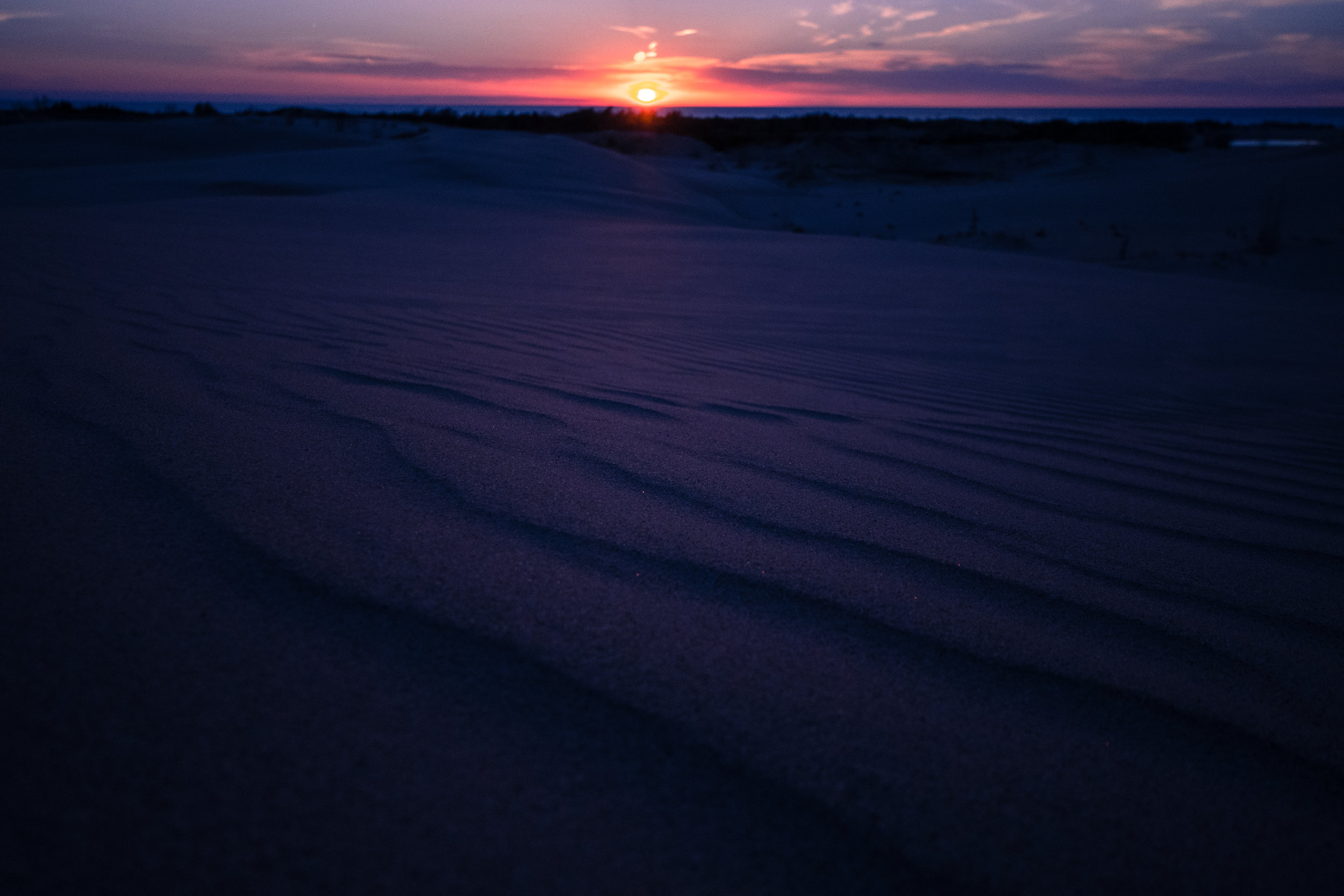 DSC_1016.jpg