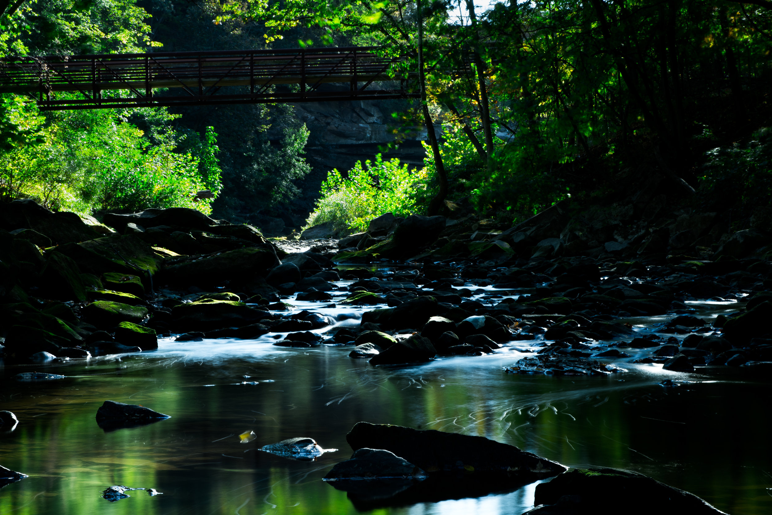 DSC_7624.jpg