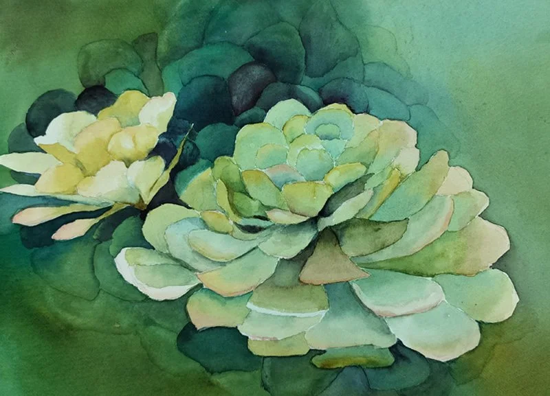 DunningSusan.Succulents.jpg
