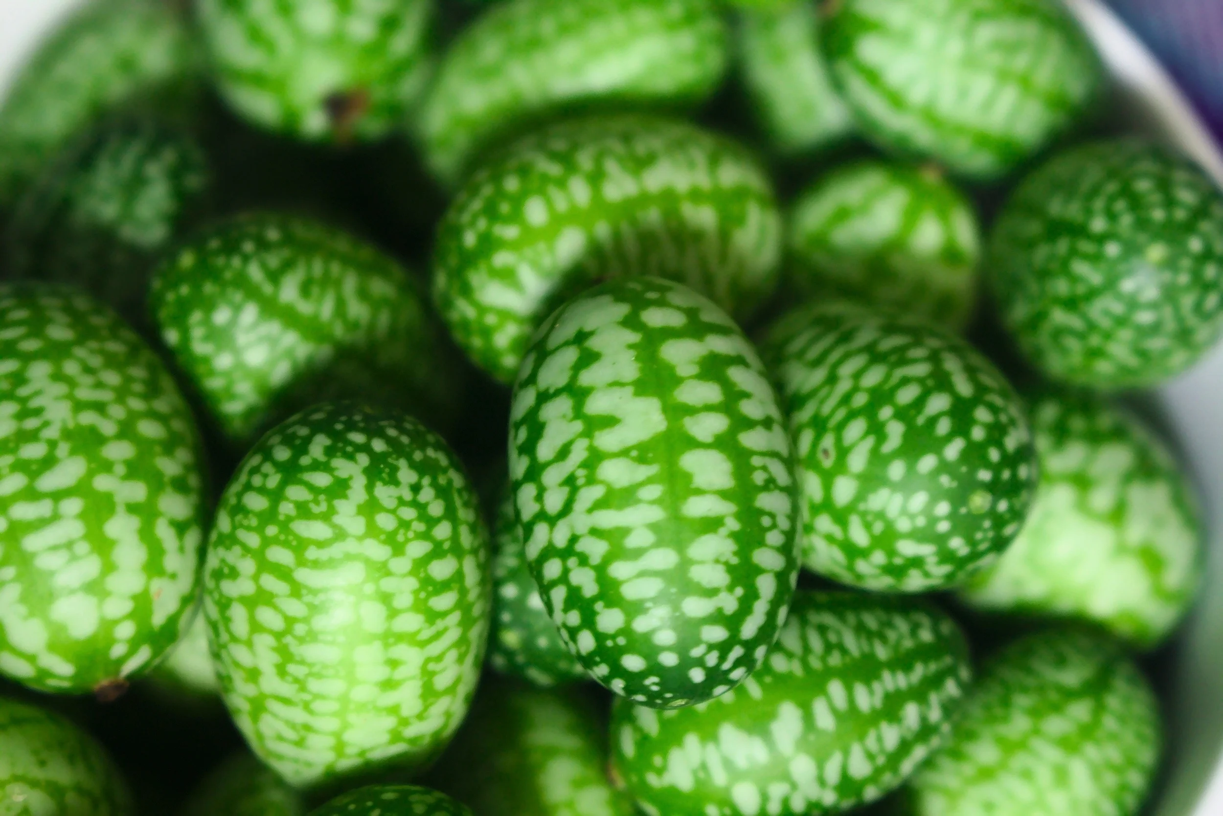 Cucamelon / Mexican Sour Gherkin