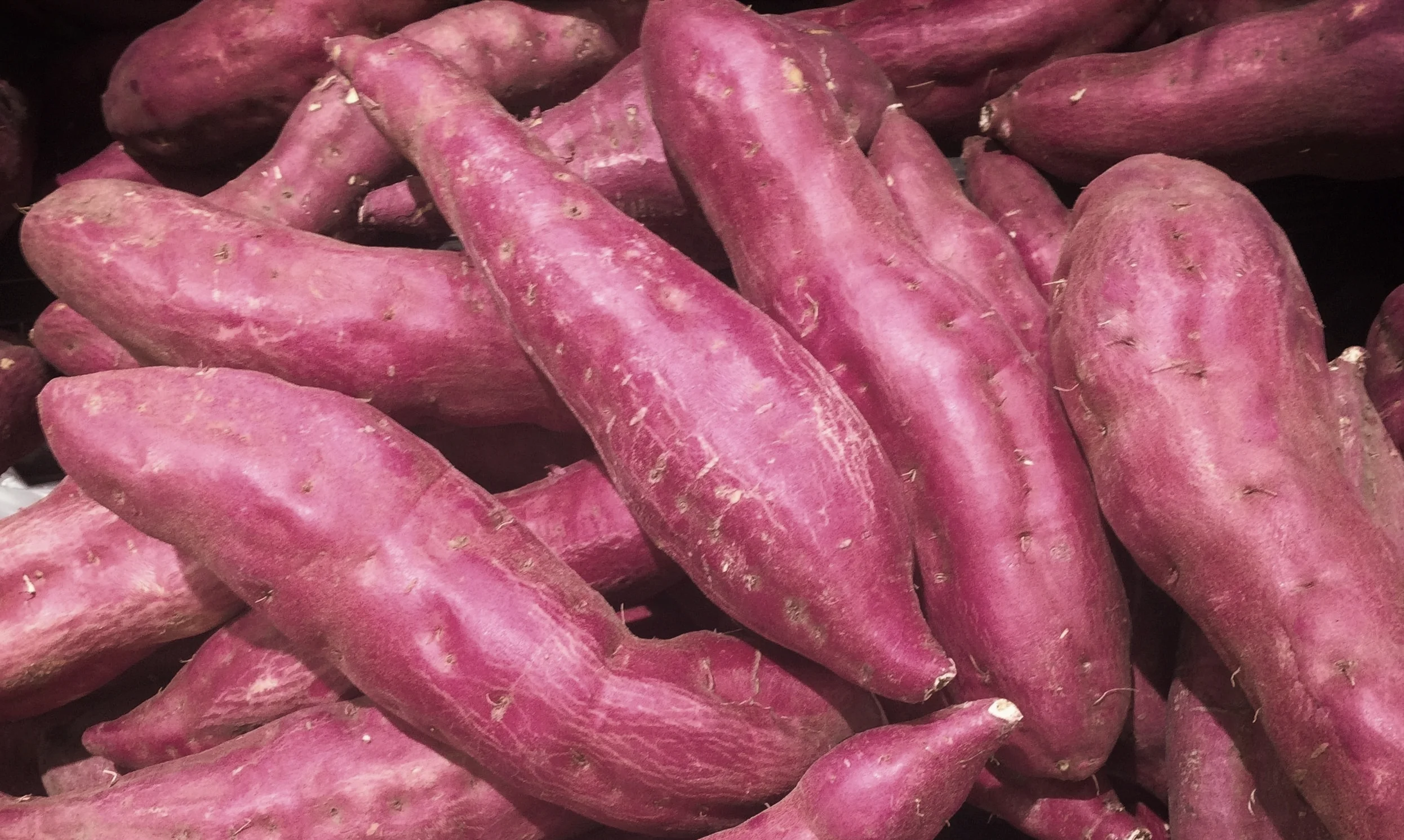 Sweet Potatoes