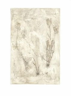 Okanagan Grass - Bromus_BPM.jpg