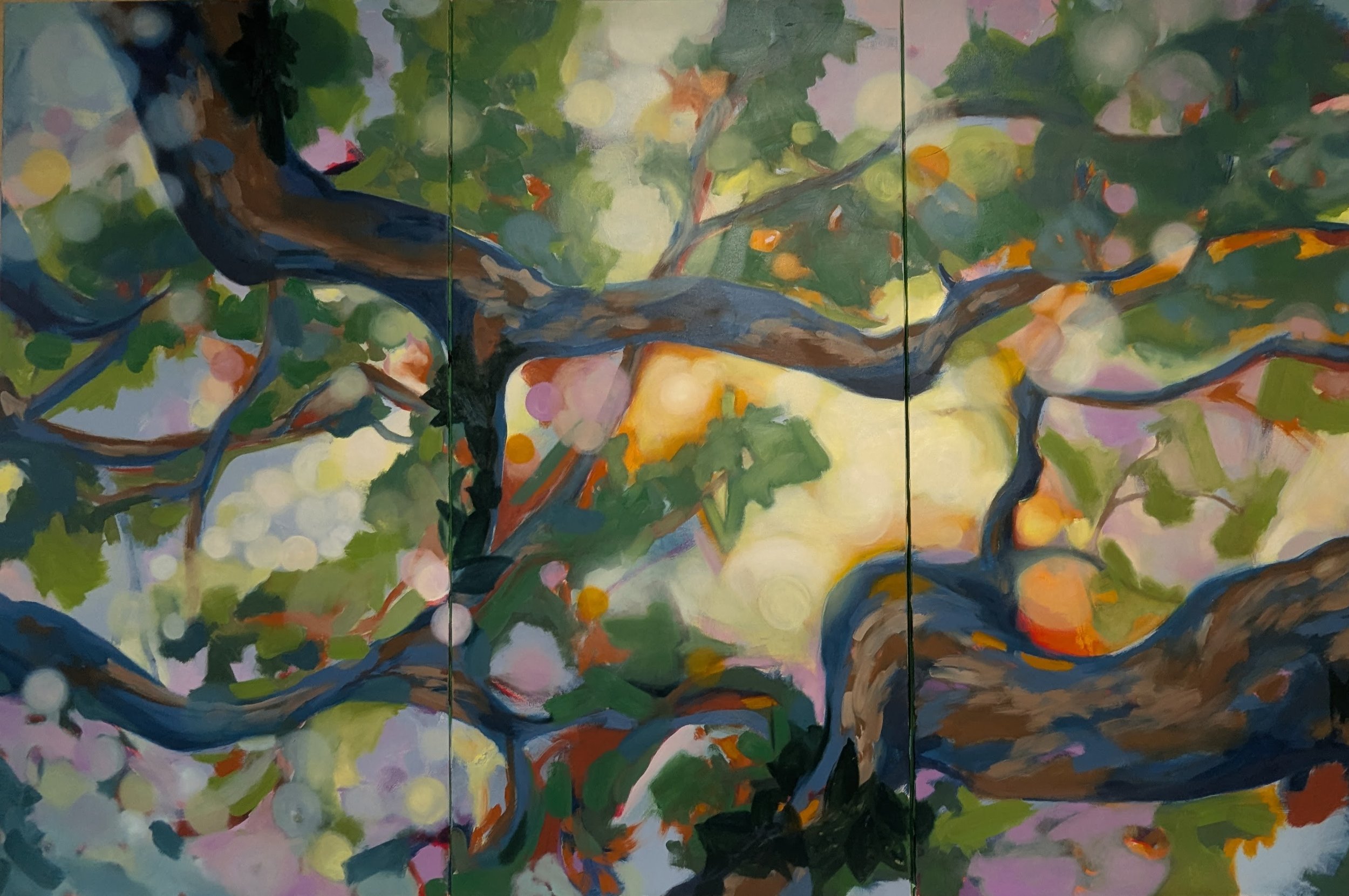 PXL_20250115_033519456 (1).jpg