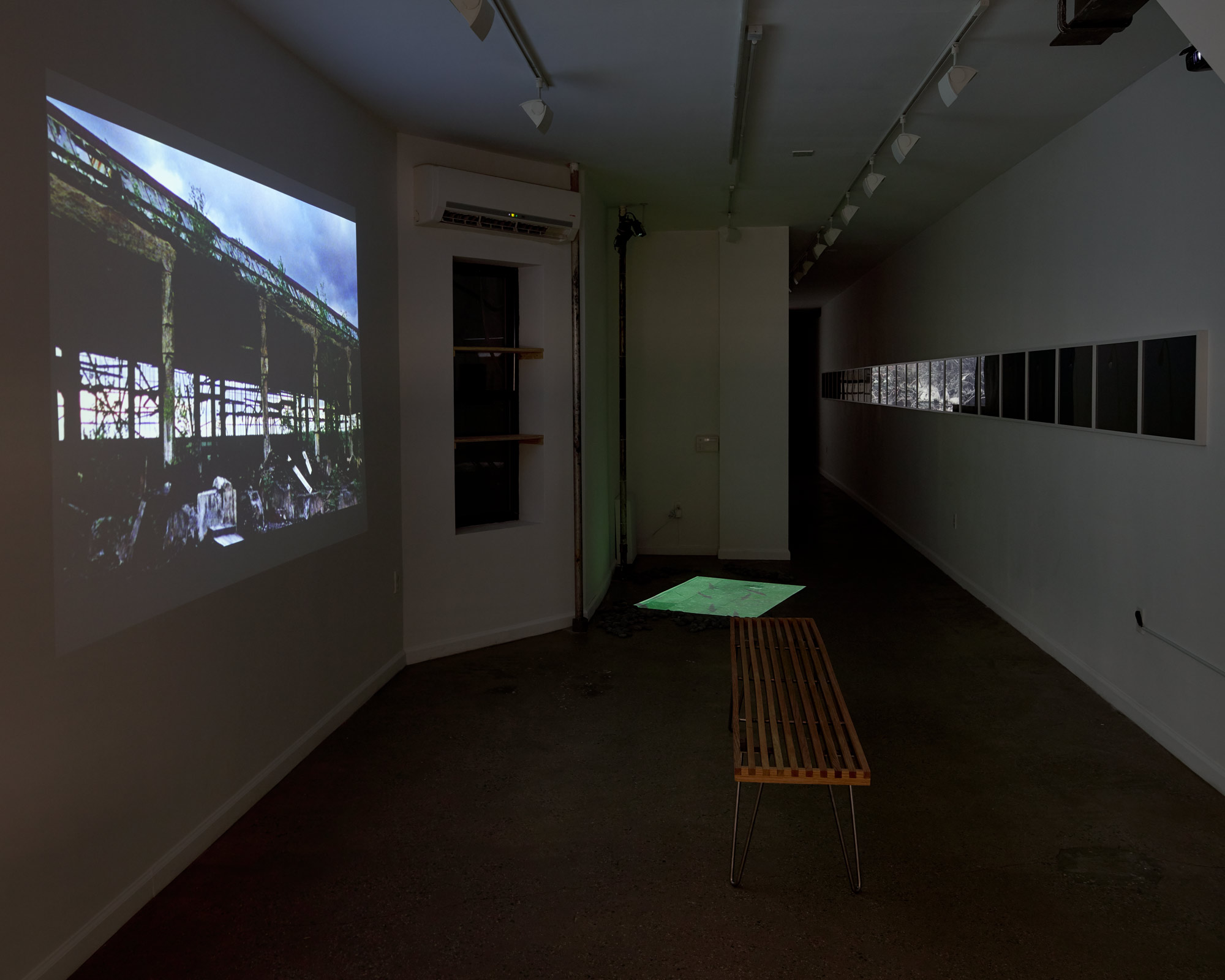 Installation View.jpg